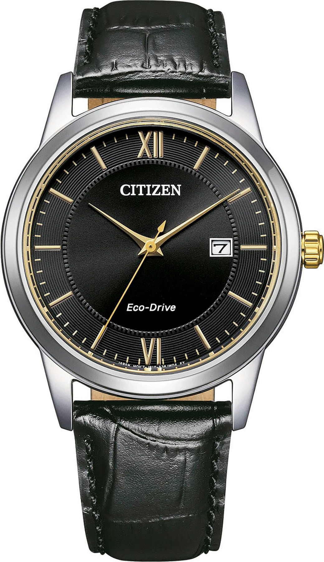 Citizen Solaruhr, Armbanduhr, Herrenuhr, Lederarmband, analog, Tag