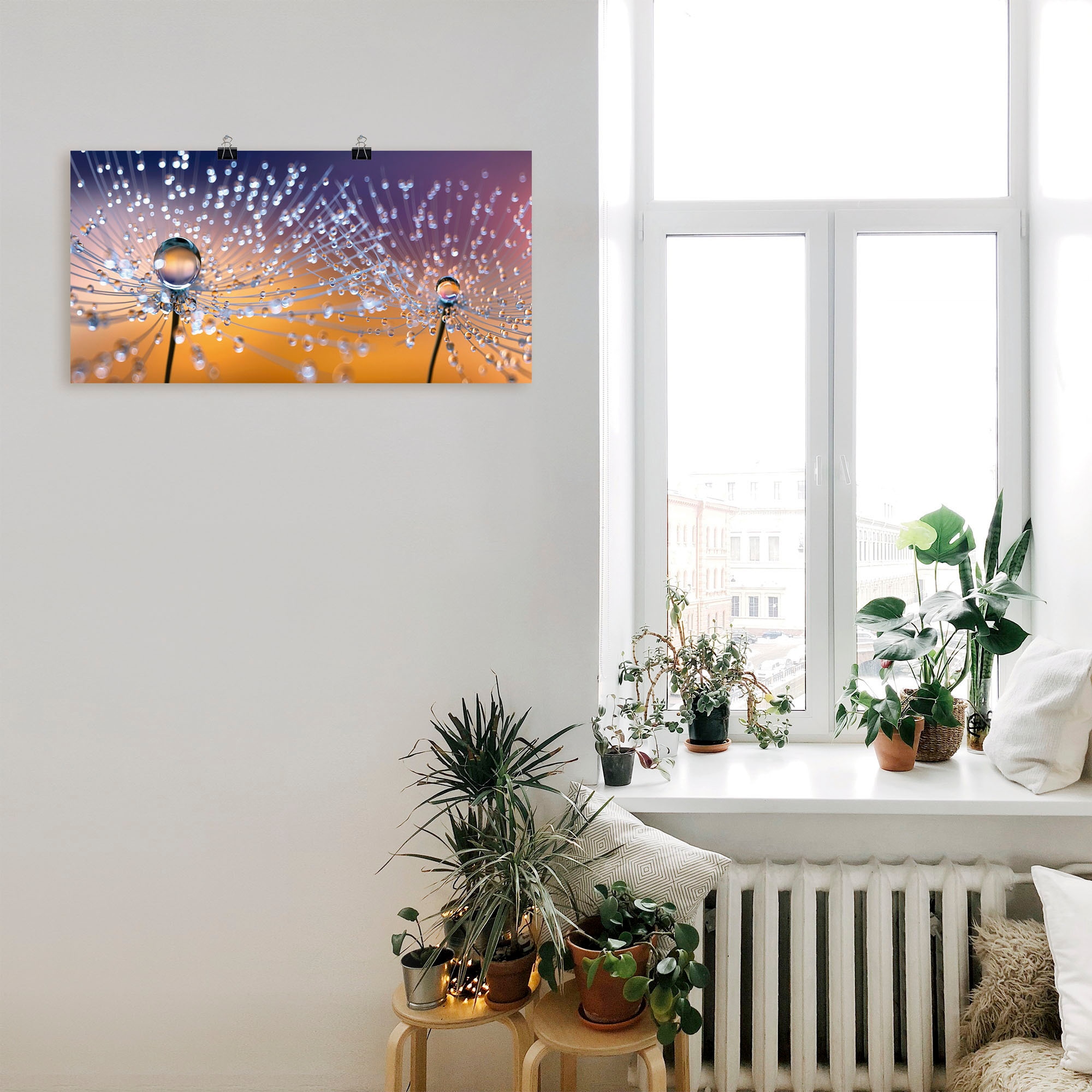 Artland Wandbild »Pusteblumen Tautropfen«, Blumenbilder, (1 St.), als Alubild, Outdoorbild, Leinwandbild, Poster, Wandaufkleber