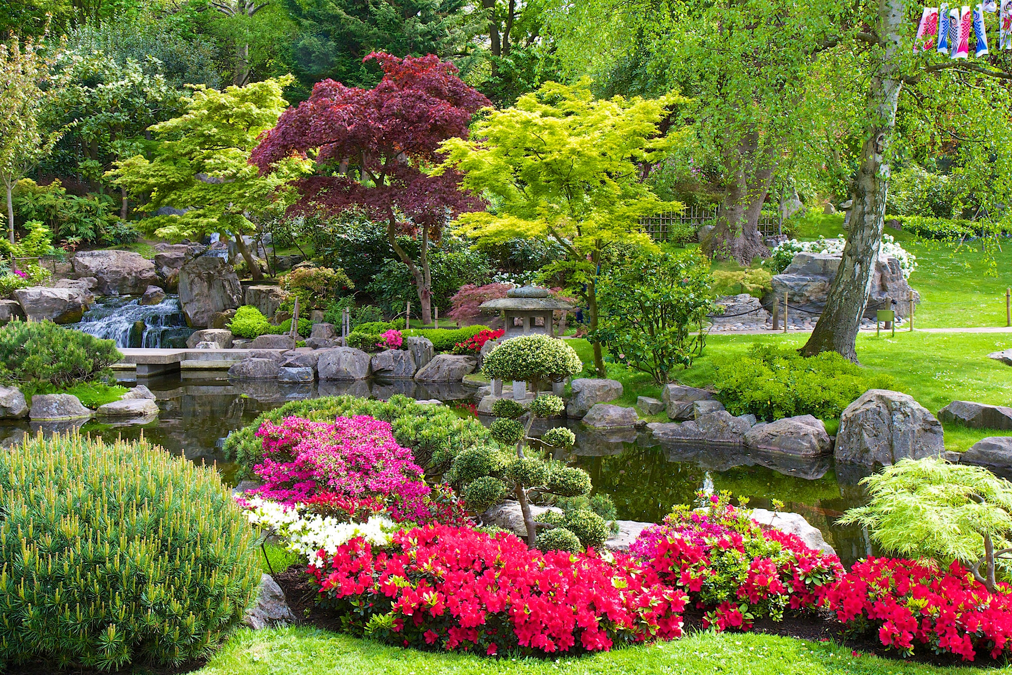 Papermoon Fototapete »GARTEN-BLUMEN BÄUME PFLANZEN PARK STEINE BLÜTEN WALD« günstig online kaufen