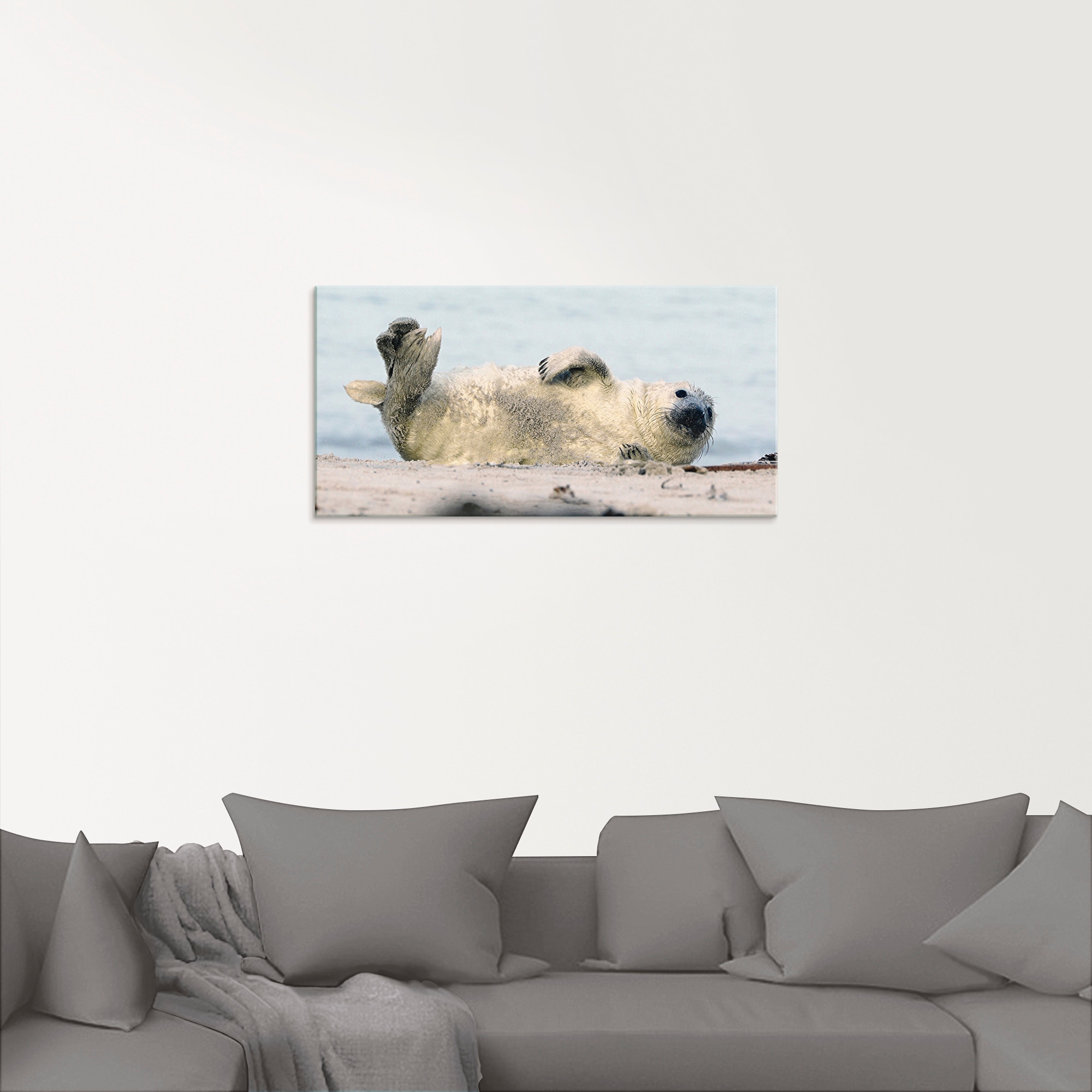 Artland Glasbild »Kegelrobben-Baby II«, Wassertiere, (1 St.), in verschiedenen Größen
