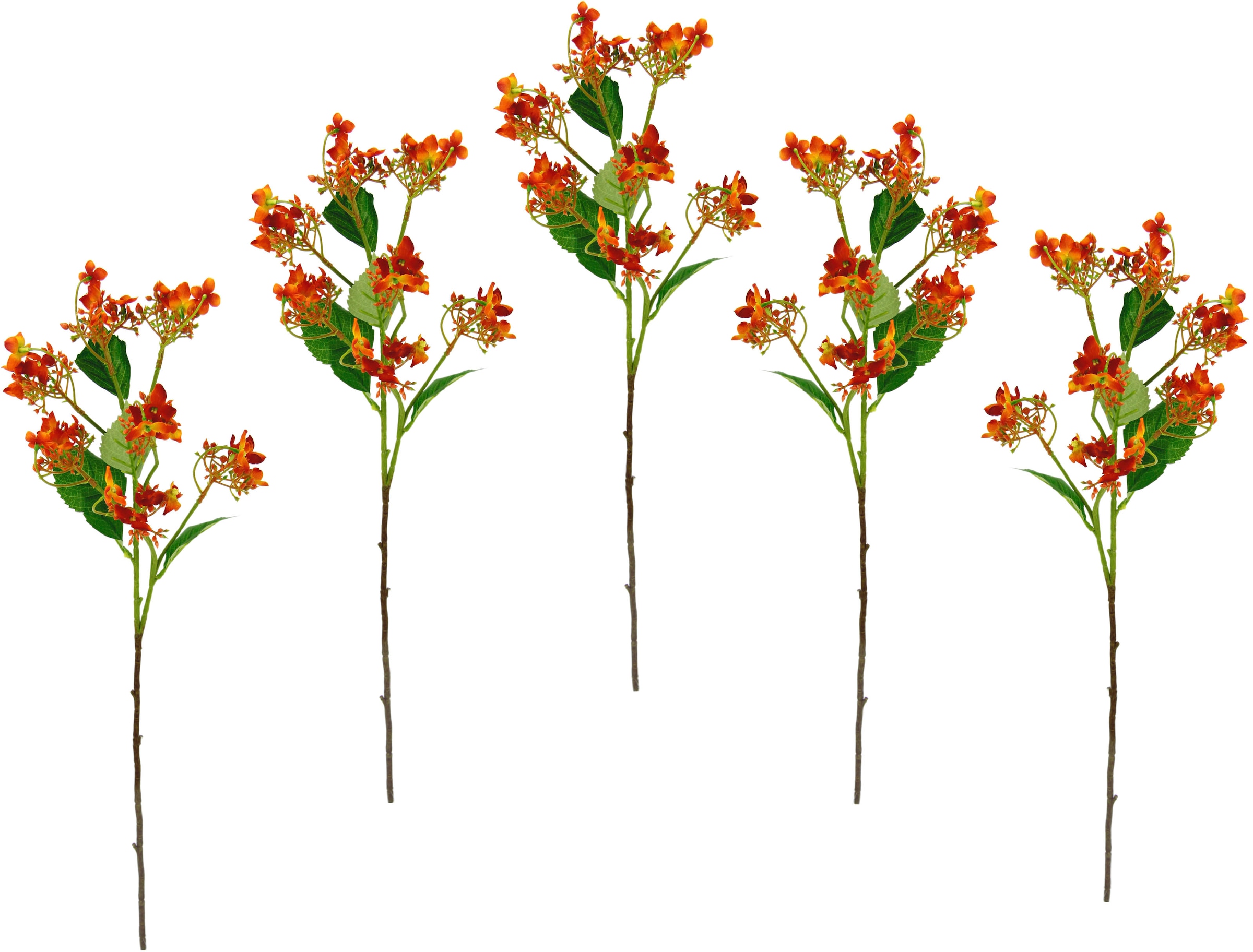 I.GE.A. Kunstblume »Blütenzweig«, 5er Kunstpflanze, künstlicher Set bestellen Zweig, Dekozweig online