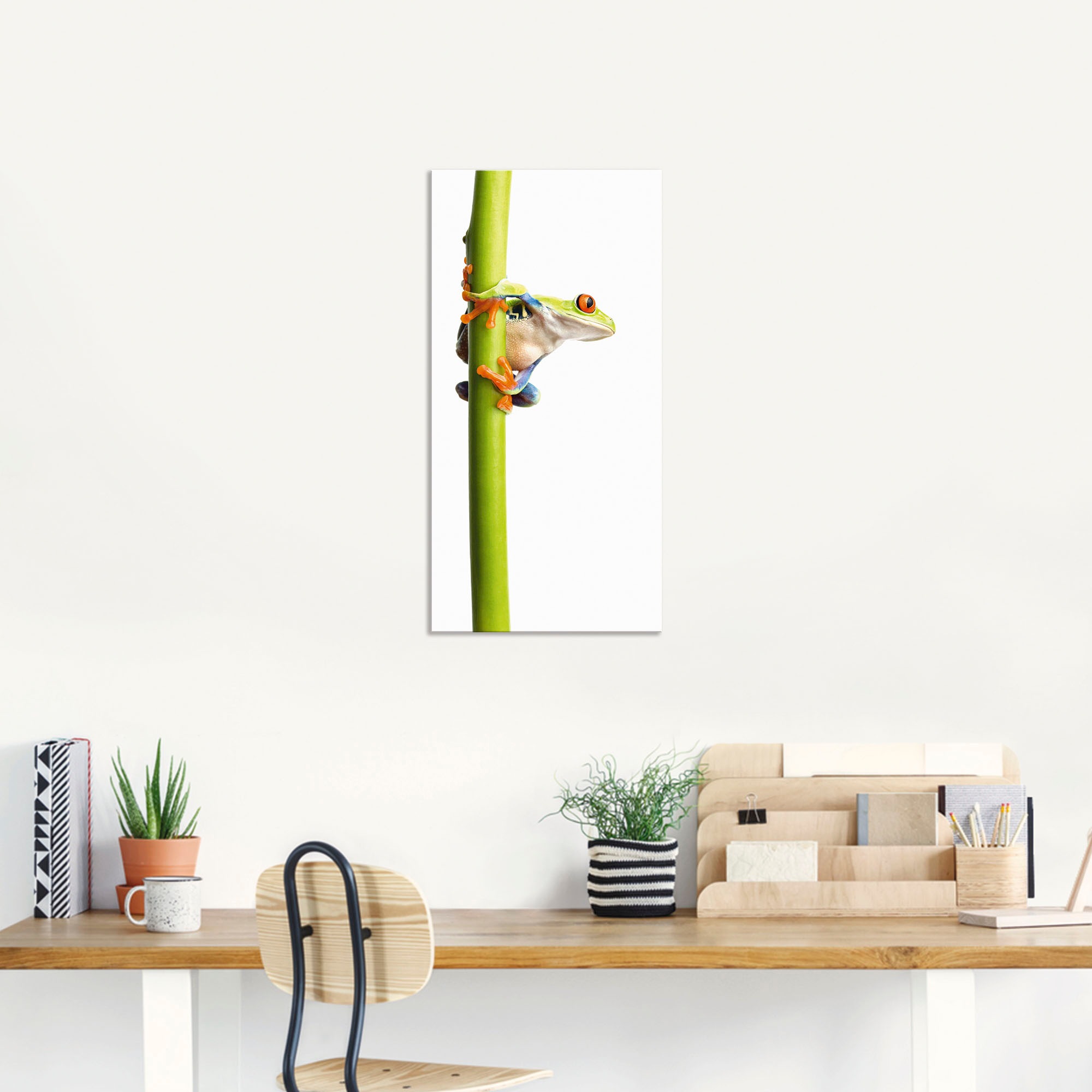 Artland Wandbild »Frosch umfasst einen Pflanzenstengel«, Wassertiere, (1 St günstig online kaufen