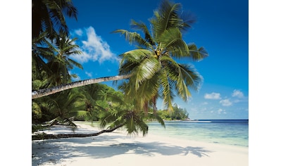 Fototapete »Coconut Bay«