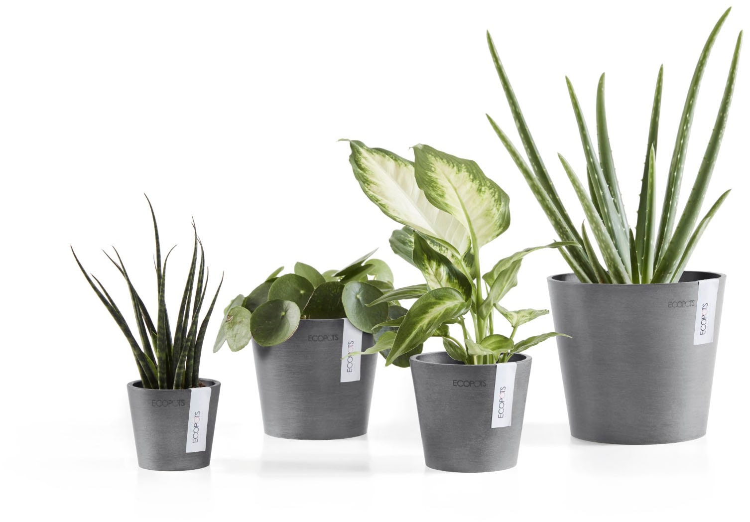 ECOPOTS Blumentopf »AMSTERDAM Mini Grey« BxTxH: 17x17x14,9 cm