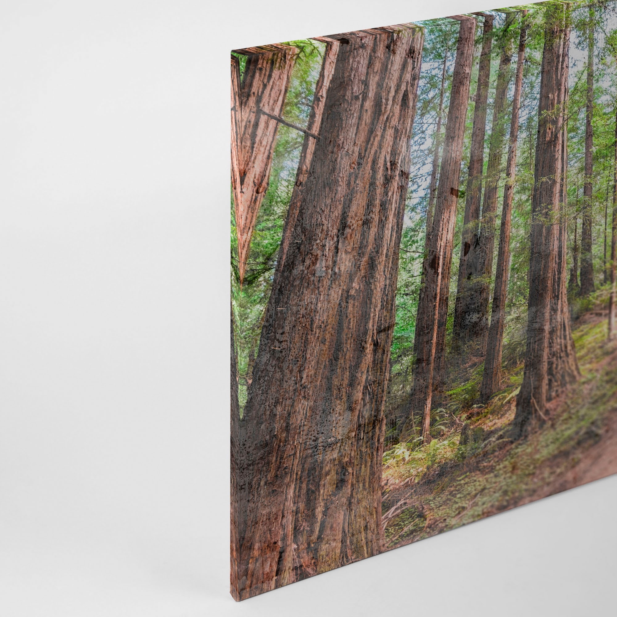 A.S. Création Leinwandbild »Forest Walk«, Kunst-Wald-Kinder, (1 St.), Waldweg Wald Bild Keilrahmen Leinwand-Bild Wohnzimmer modern Wandbild
