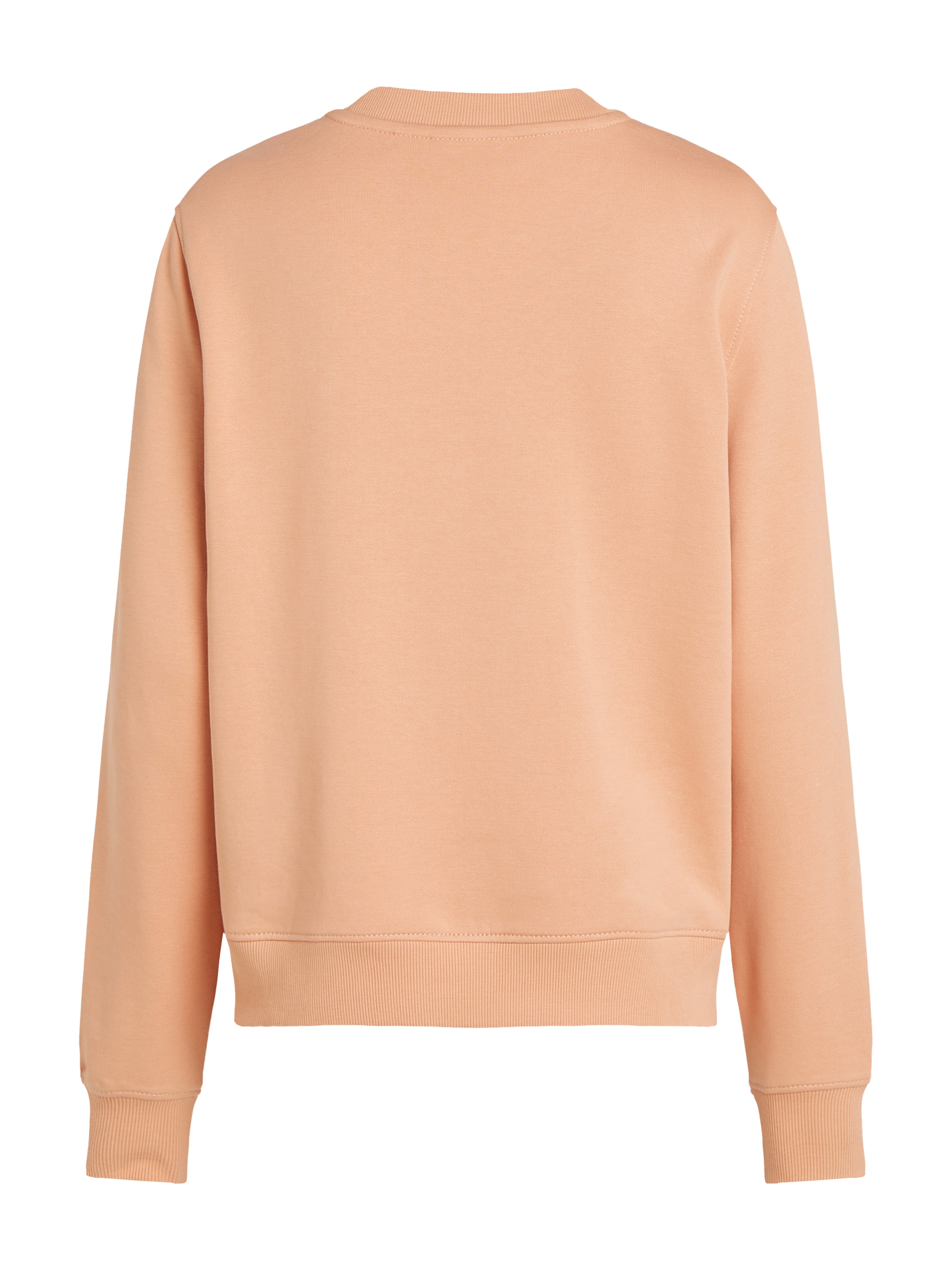 Calvin Klein Jeans Sweatshirt »GRADIENT MONOLOGO CREWNECK«, mit Logo