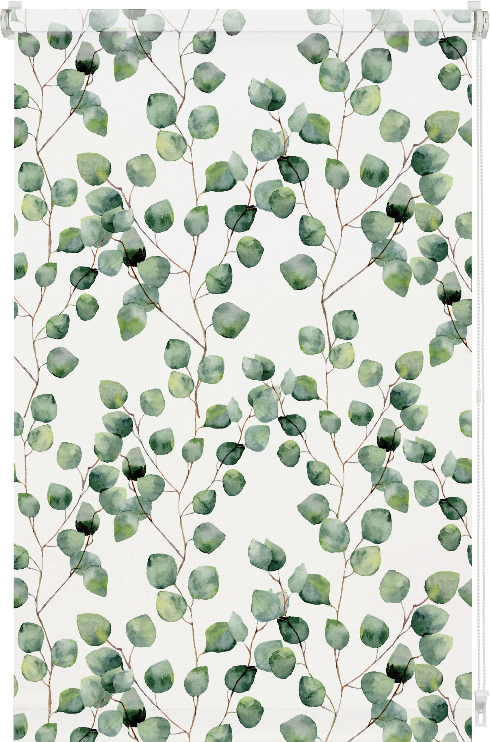 GARDINIA Seitenzugrollo »Easyfix Rollo Digiprint«, blickdicht, Sichtschutz, ohne Bohren, freihängend, mit Weidenkätzchen Motiv