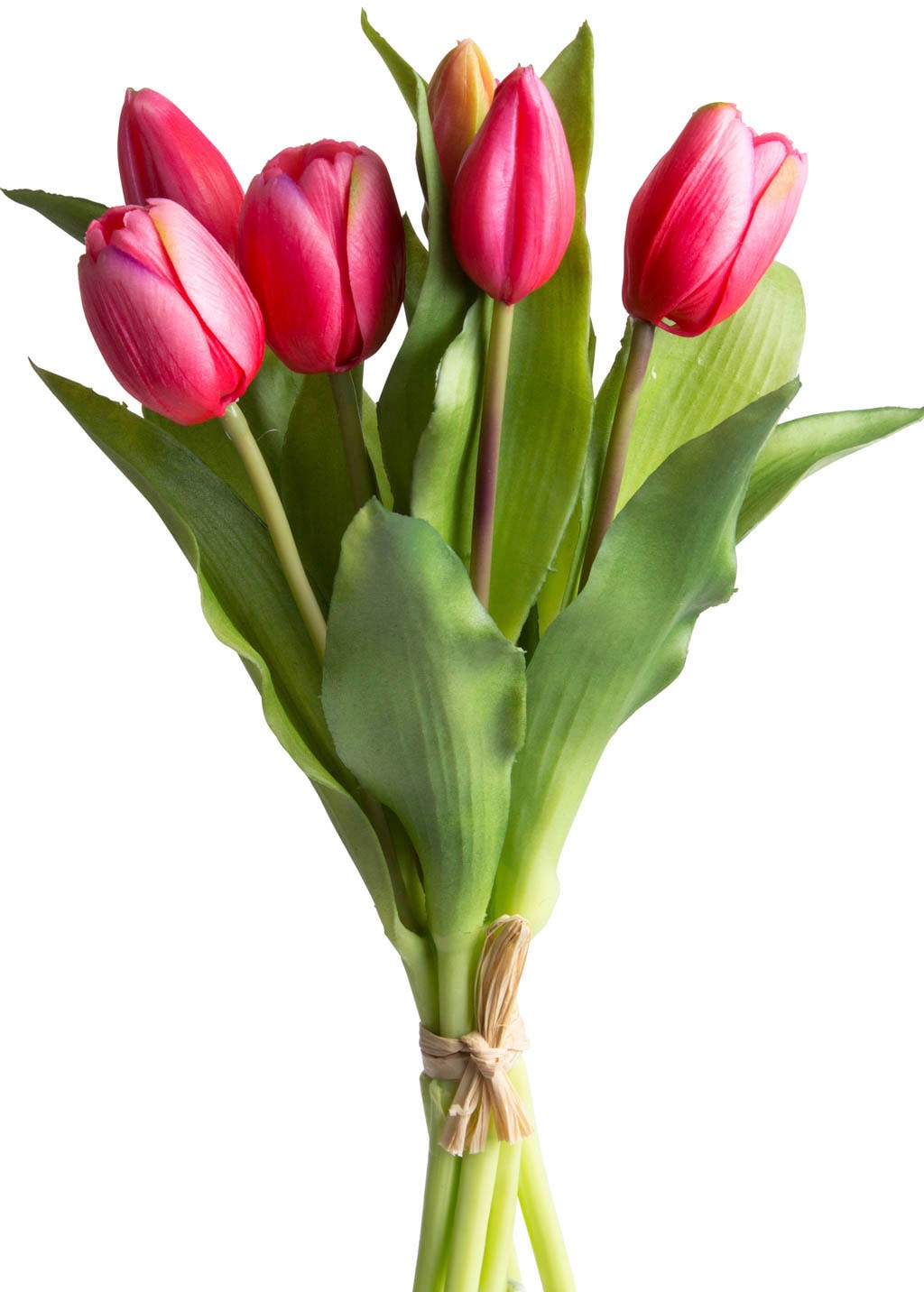 Raten Botanic-Haus Tulpenbündel auf bestellen Kunstblume im »Willa«, 7er-Set