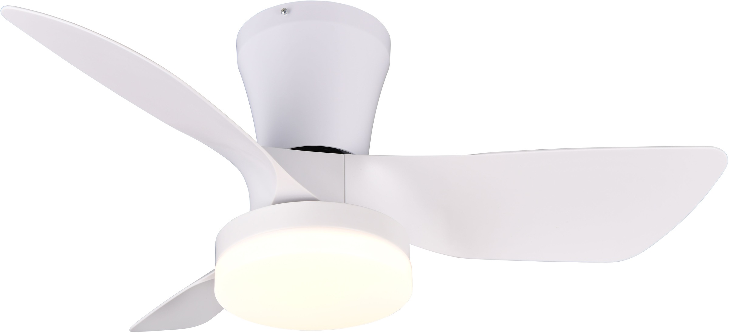 REALITY Leuchten LED Deckenleuchte »RANDERS mit Ventilator, Deckenventilato günstig online kaufen