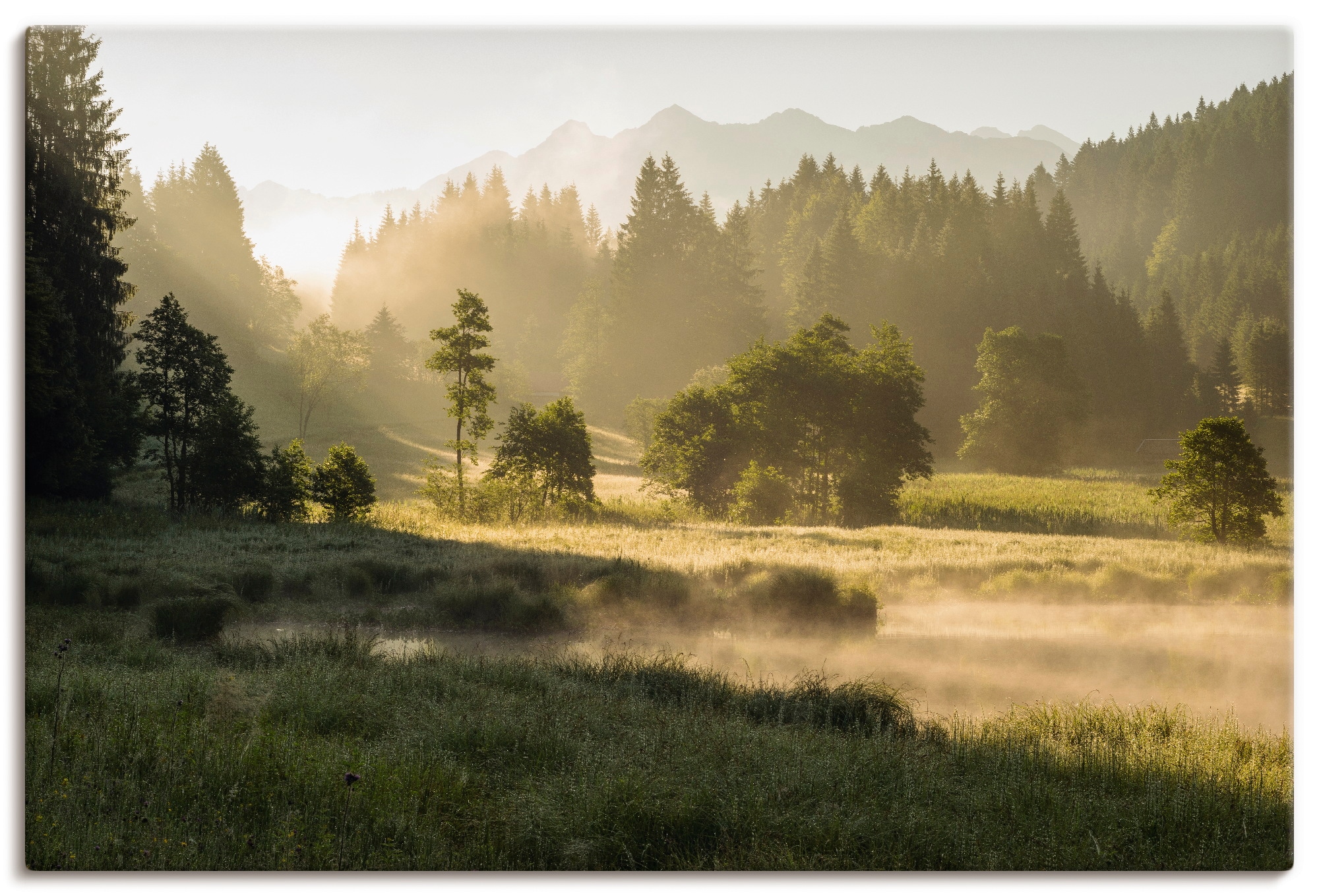 Leinwandbild ARTLAND "Sommermorgen in den Alpen", grün (farbe bild(er): grün), B:90cm H:60cm, Bilder