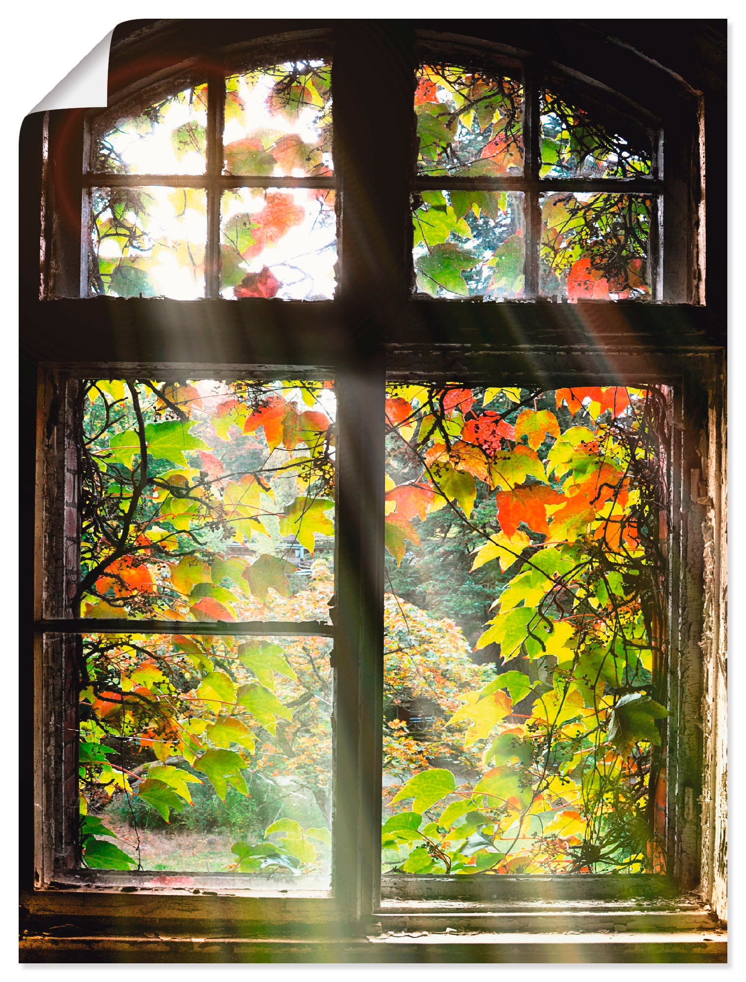 Artland Wandbild »Altbau«, Fenster & Türen, (1 St.), als Alubild,  Leinwandbild, Wandaufkleber oder Poster in versch. Größen auf Rechnung  bestellen