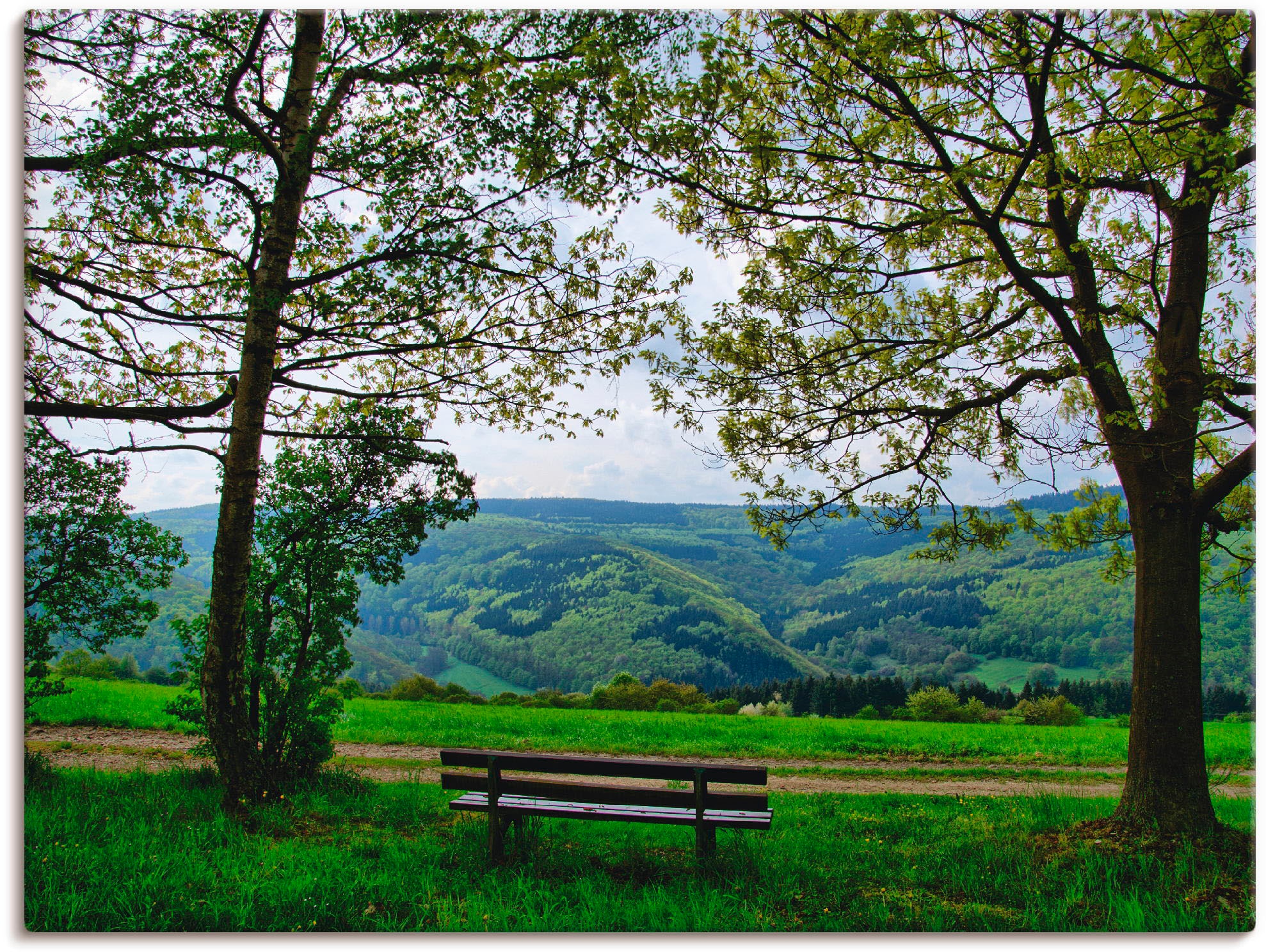 Artland Leinwandbild »Ausblick in den Frühling«, Felder, (1 St.), auf Keilr günstig online kaufen