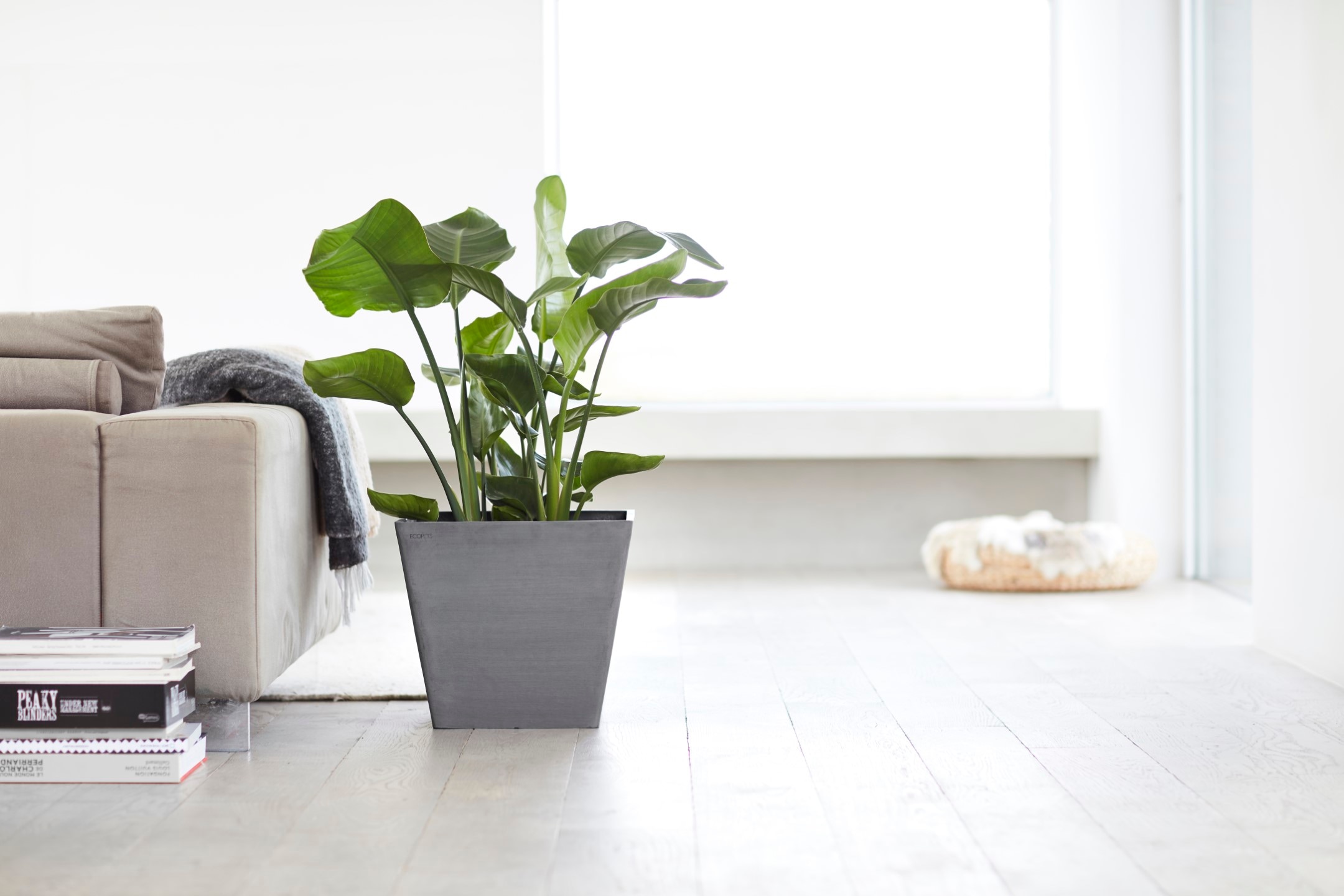 ECOPOTS Blumentopf »ROTTERDAM Grey«, BxTxH: 40x40x35 cm