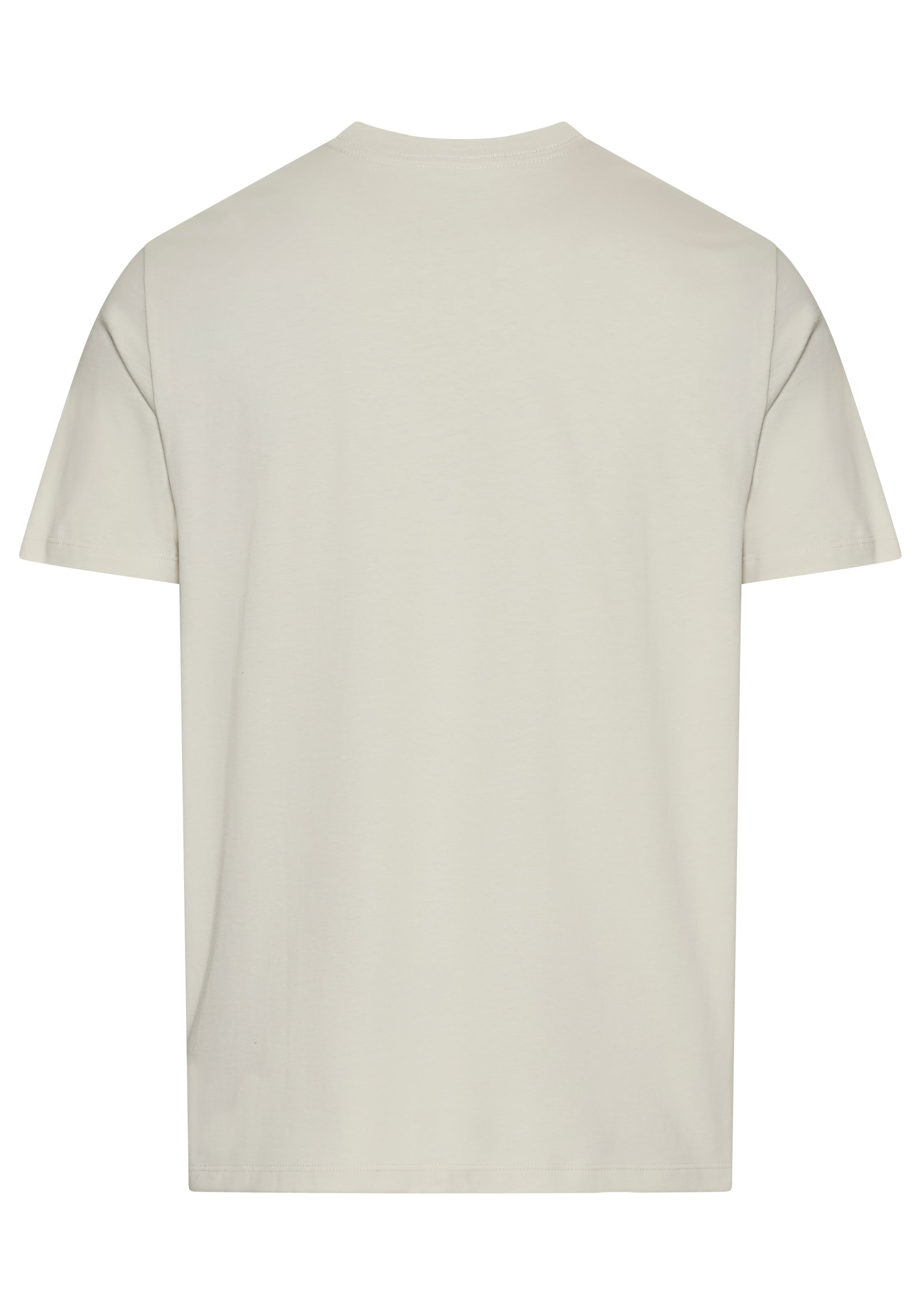 Calvin Klein Jeans T-Shirt »SS 30s E CLVN LN BG«, mit Logo-Schriftzug