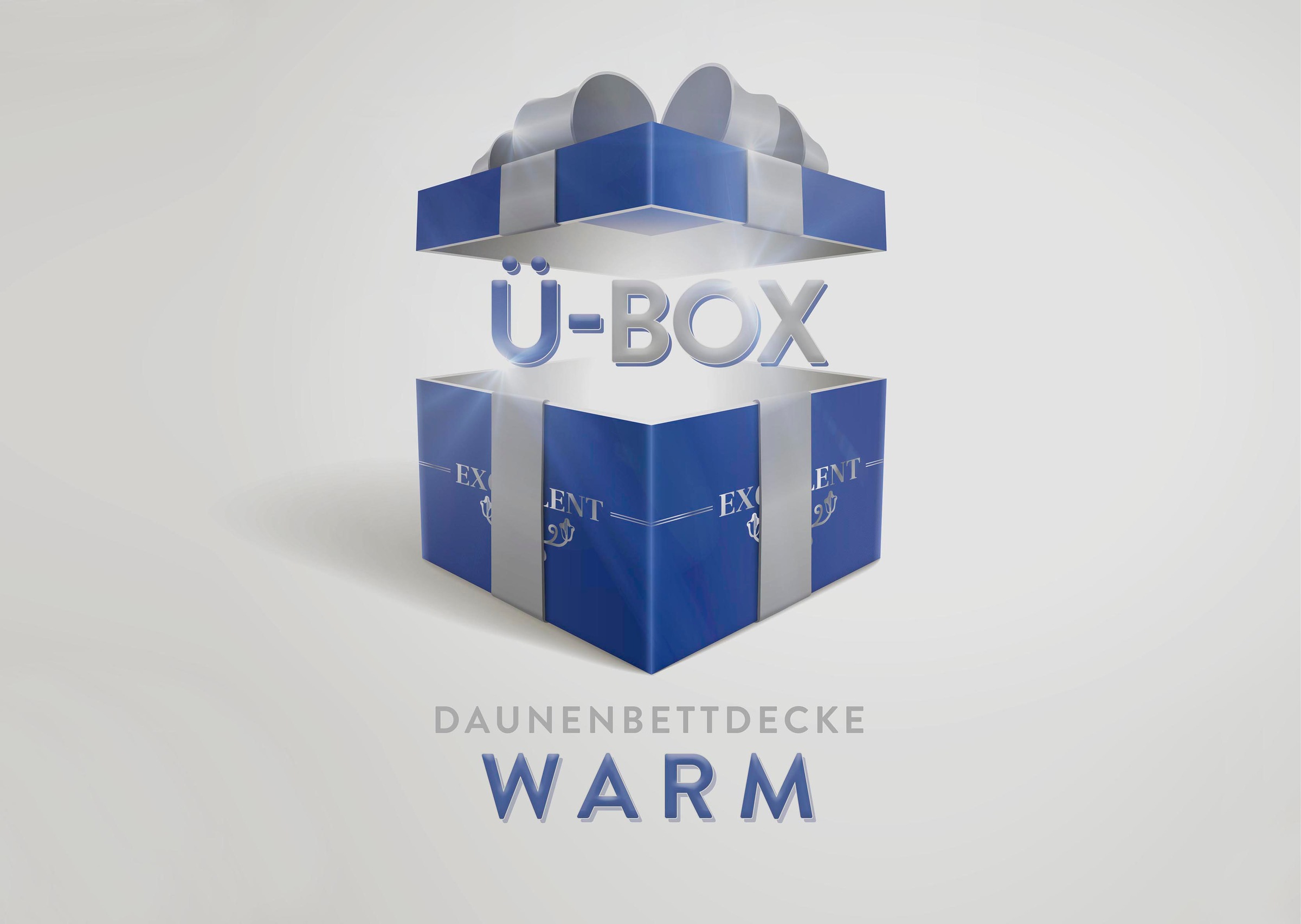 Excellent Daunenbettdecke »Überraschungsbox«, warm, Füllung 90% Daunen, 10% günstig online kaufen