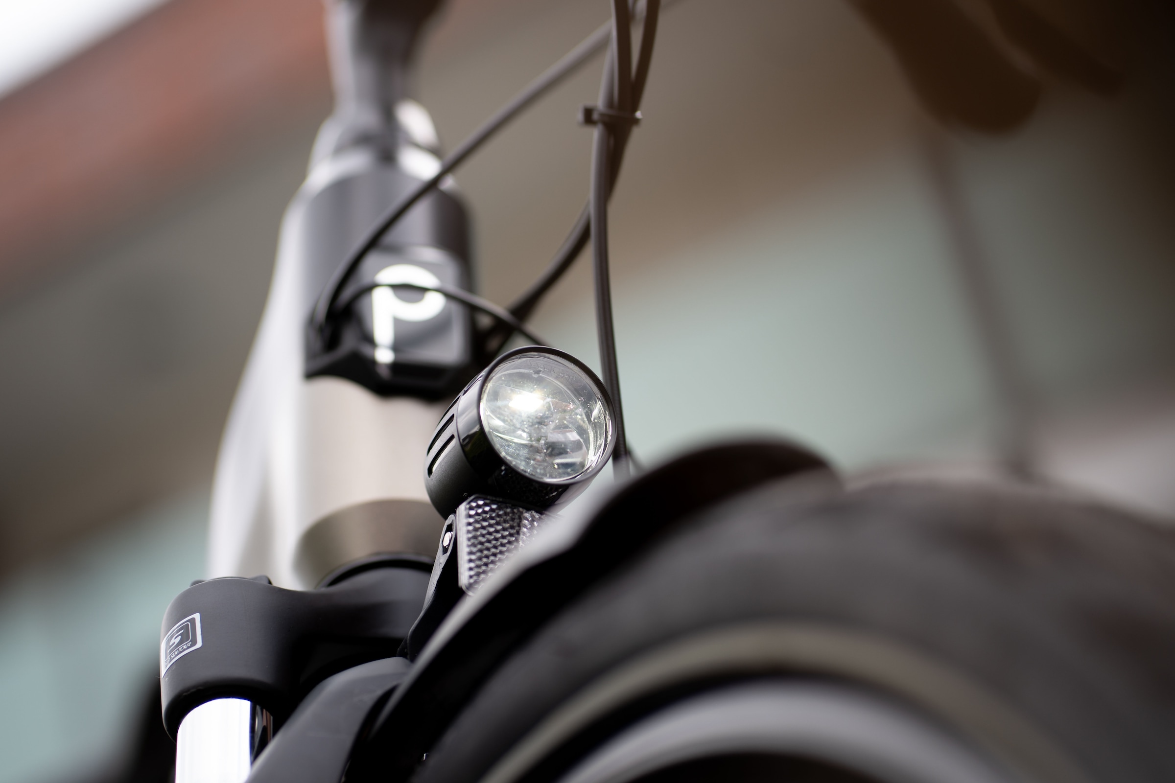 Prophete »Geniesser 3.8« 7 Gang Shimano Nexus Schaltwerk Nabenschaltung Mittelmotor 250 W