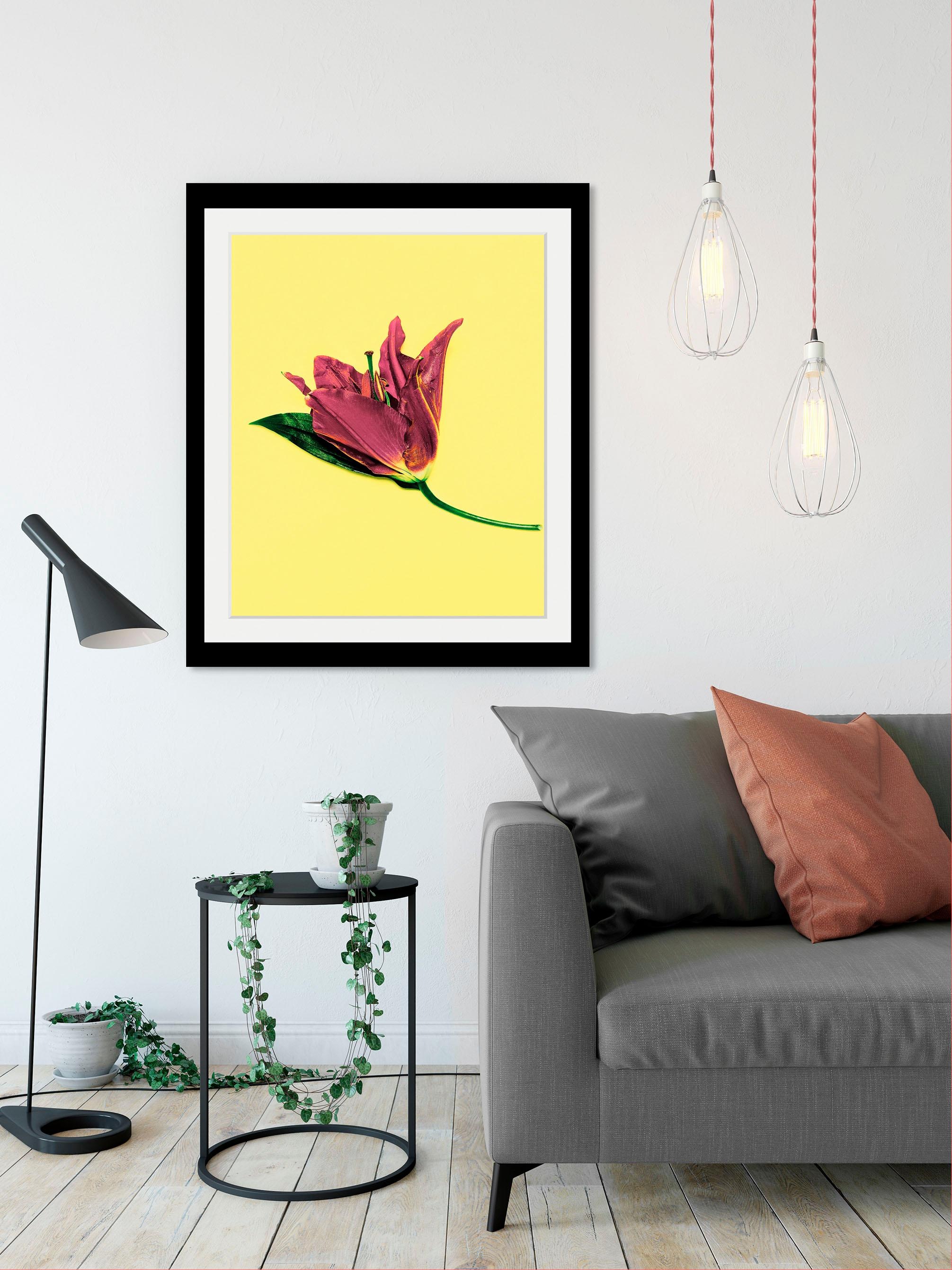 queence Bild »Blume«, Blumen-Blumenbilder-Pflanzen-Kunst, HD Premium Poster günstig online kaufen