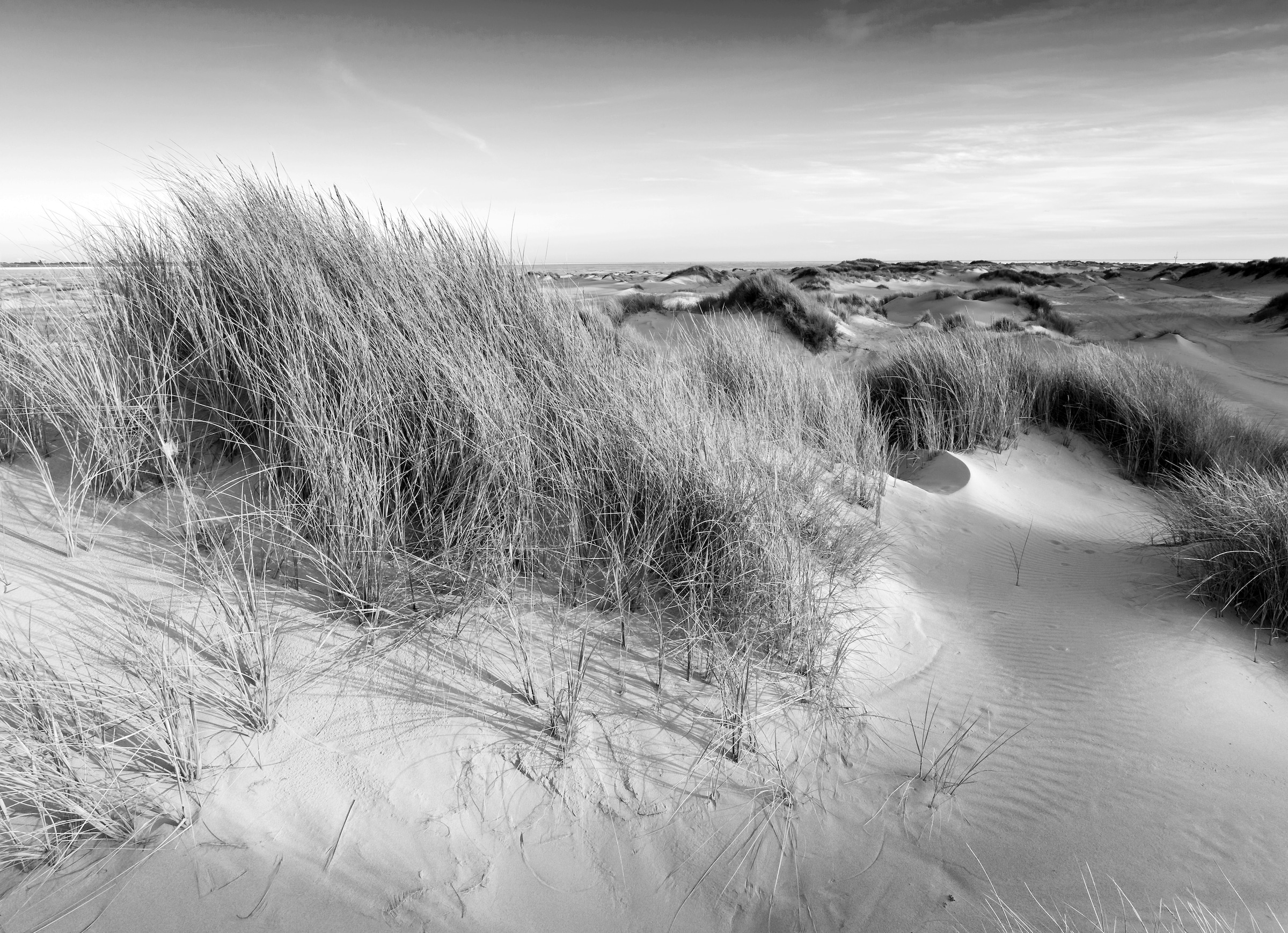 Papermoon Fototapete »Landschaft schwarz & weiß« günstig online kaufen