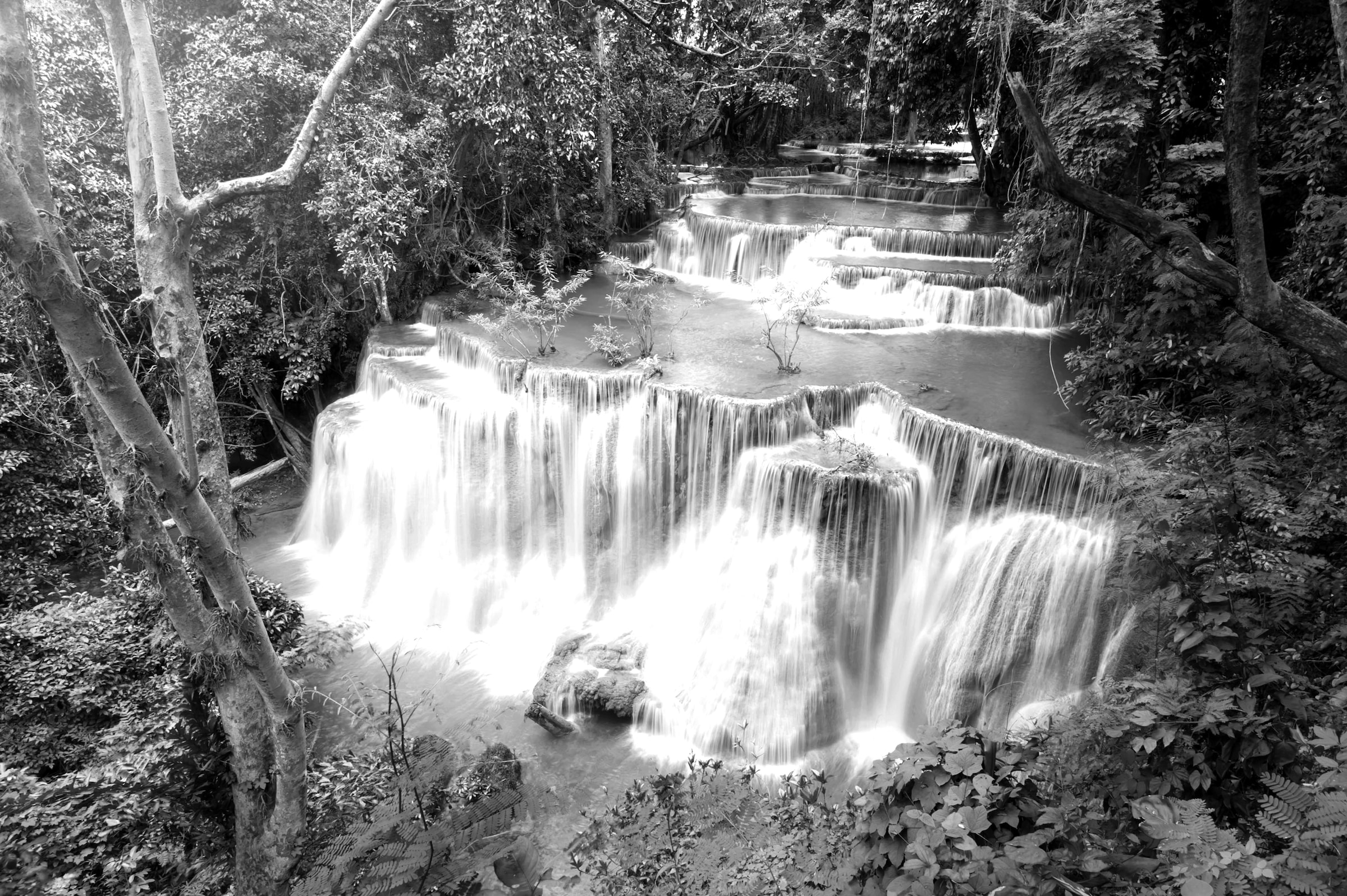 Papermoon Fototapete »Wasserfall im Wald Schwarz & Weiß« günstig online kaufen