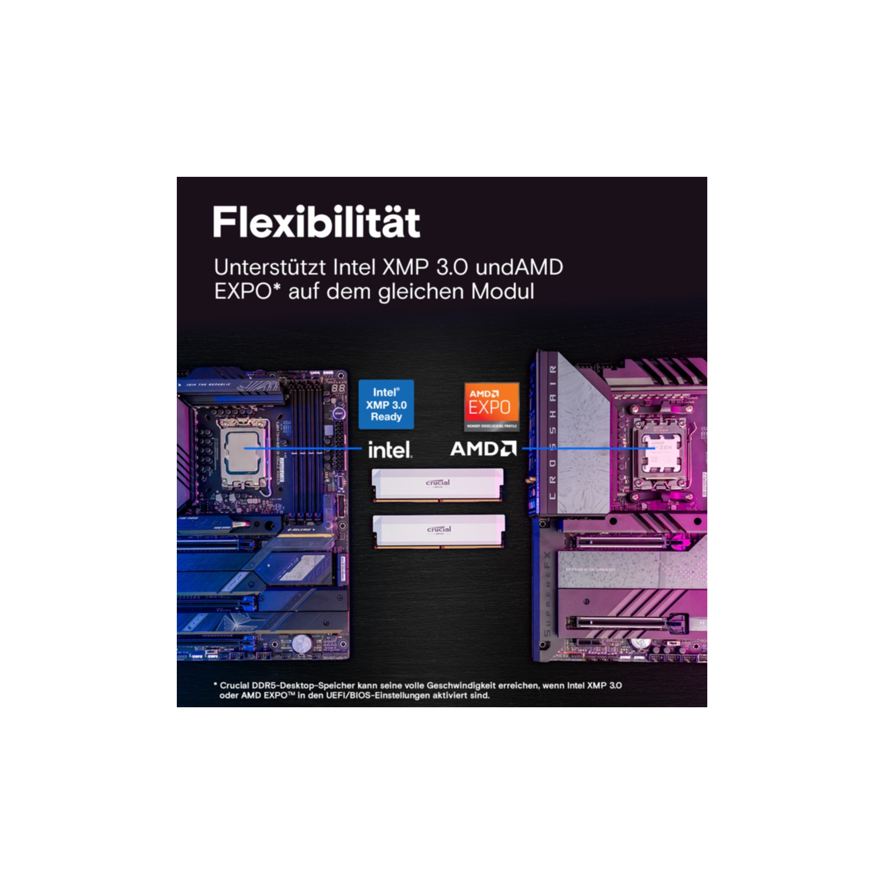 Crucial Arbeitsspeicher »CP2K32G60C40U5W«