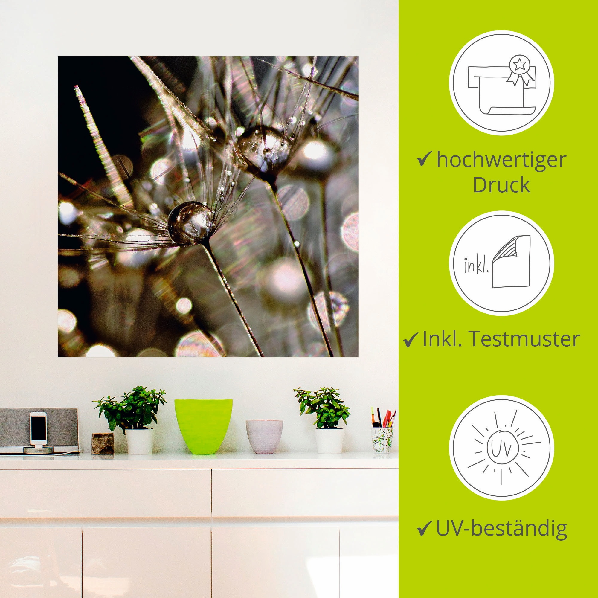 Artland Wandbild »Pusteblume abstrakt«, Blumen, (1 St.), als Leinwandbild, Poster, Wandaufkleber in verschied. Größen