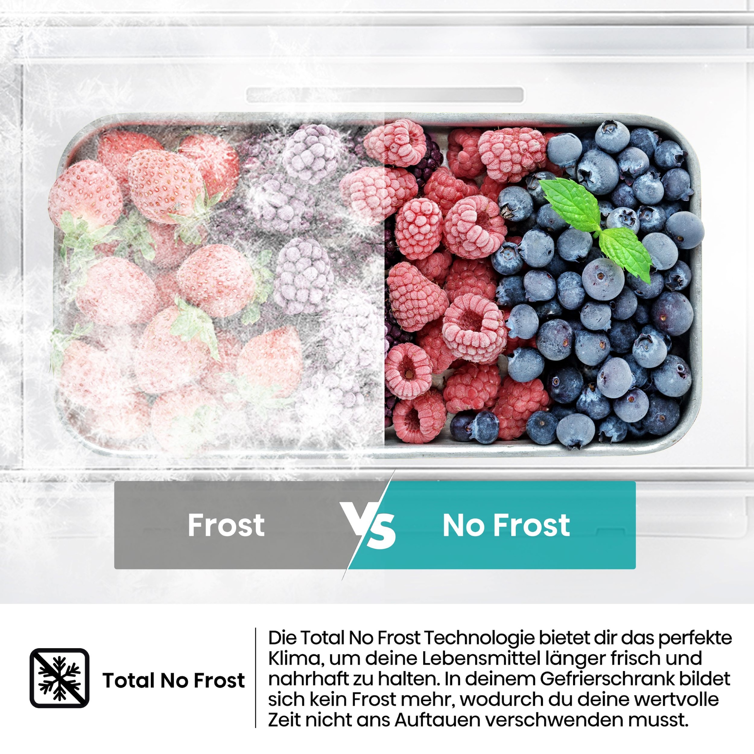 Hisense Gefrierschrank »FF3N229NEIC« 172 cm hoch 59,5 cm breit LED Display