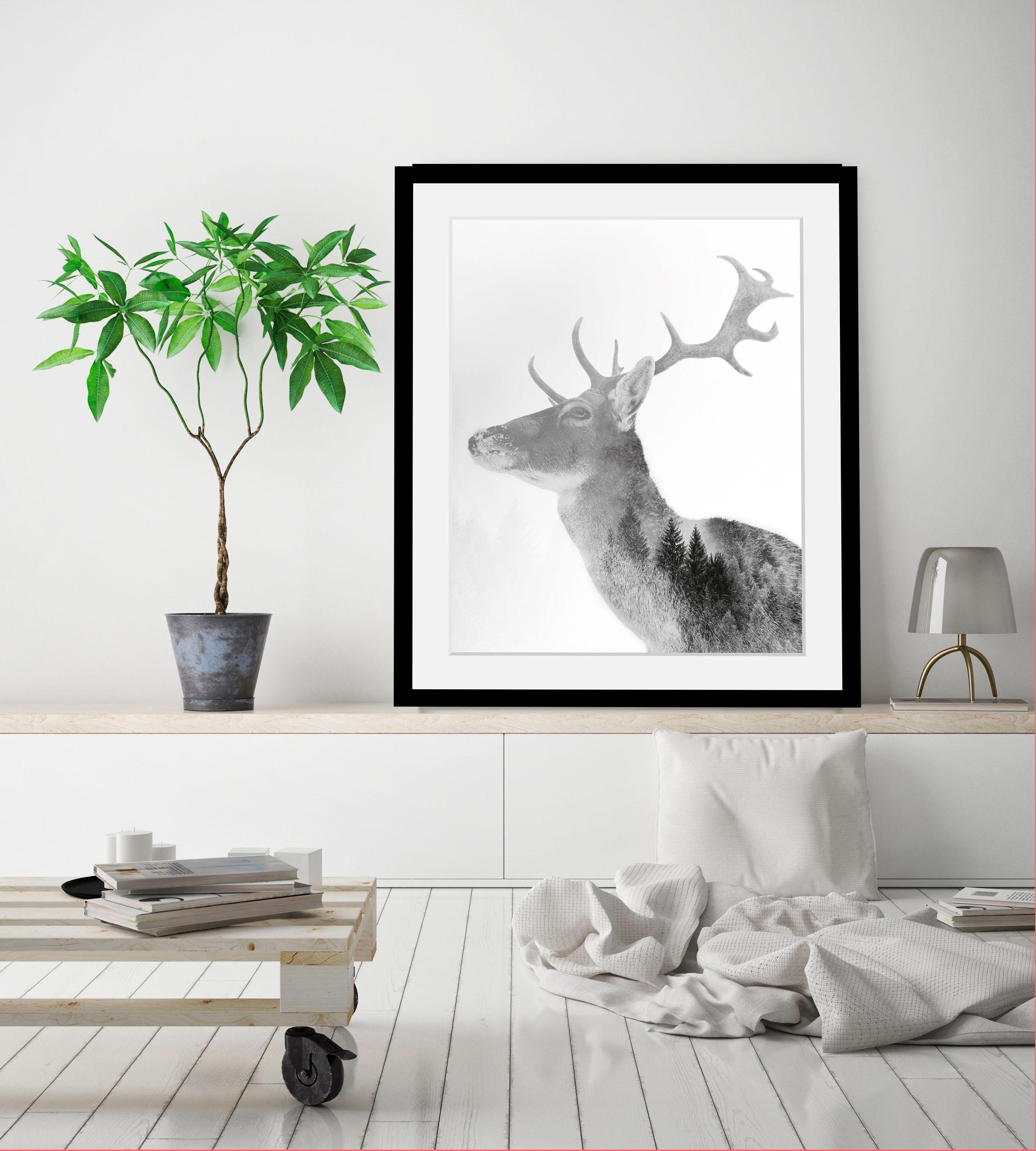 queence Bild »Hirsch«, Hirsch-Tiere-Wildtiere-Hirschbilder-Wald-Waldbilder- günstig online kaufen