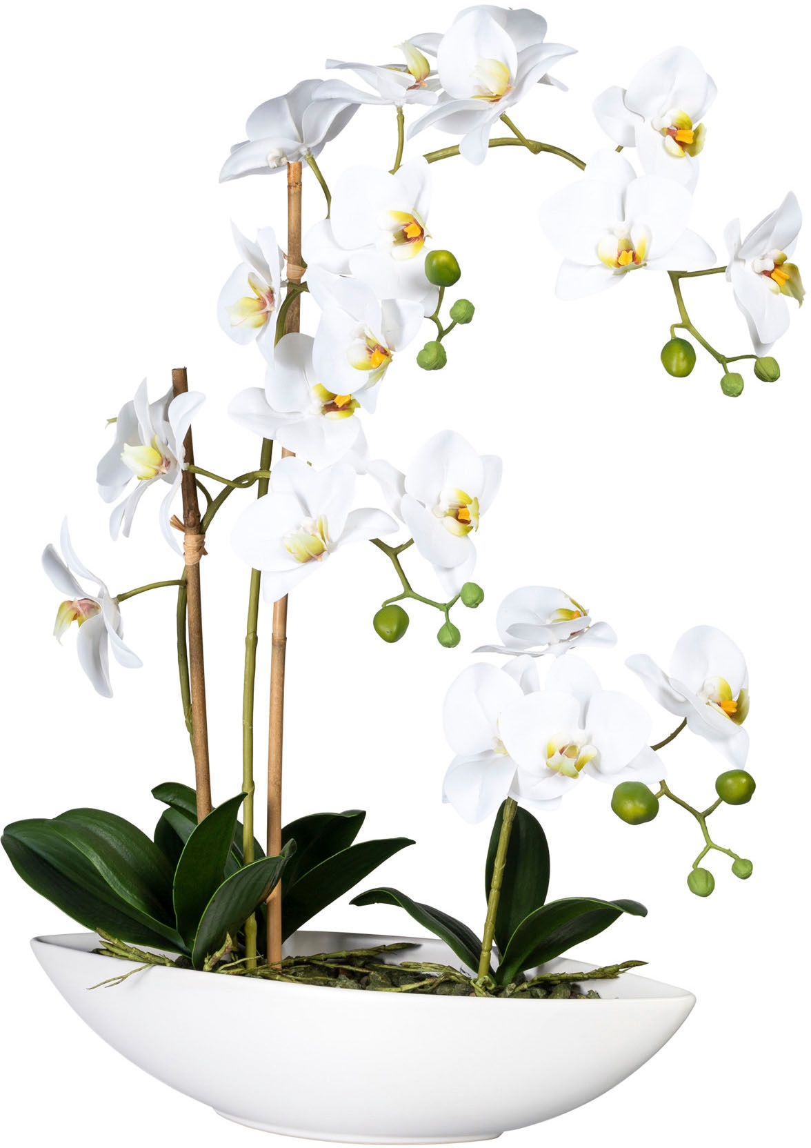Creativ green Kunstorchidee »Phalaenopsis«, (1 St.), im Keramikschiff auf  Rechnung bestellen