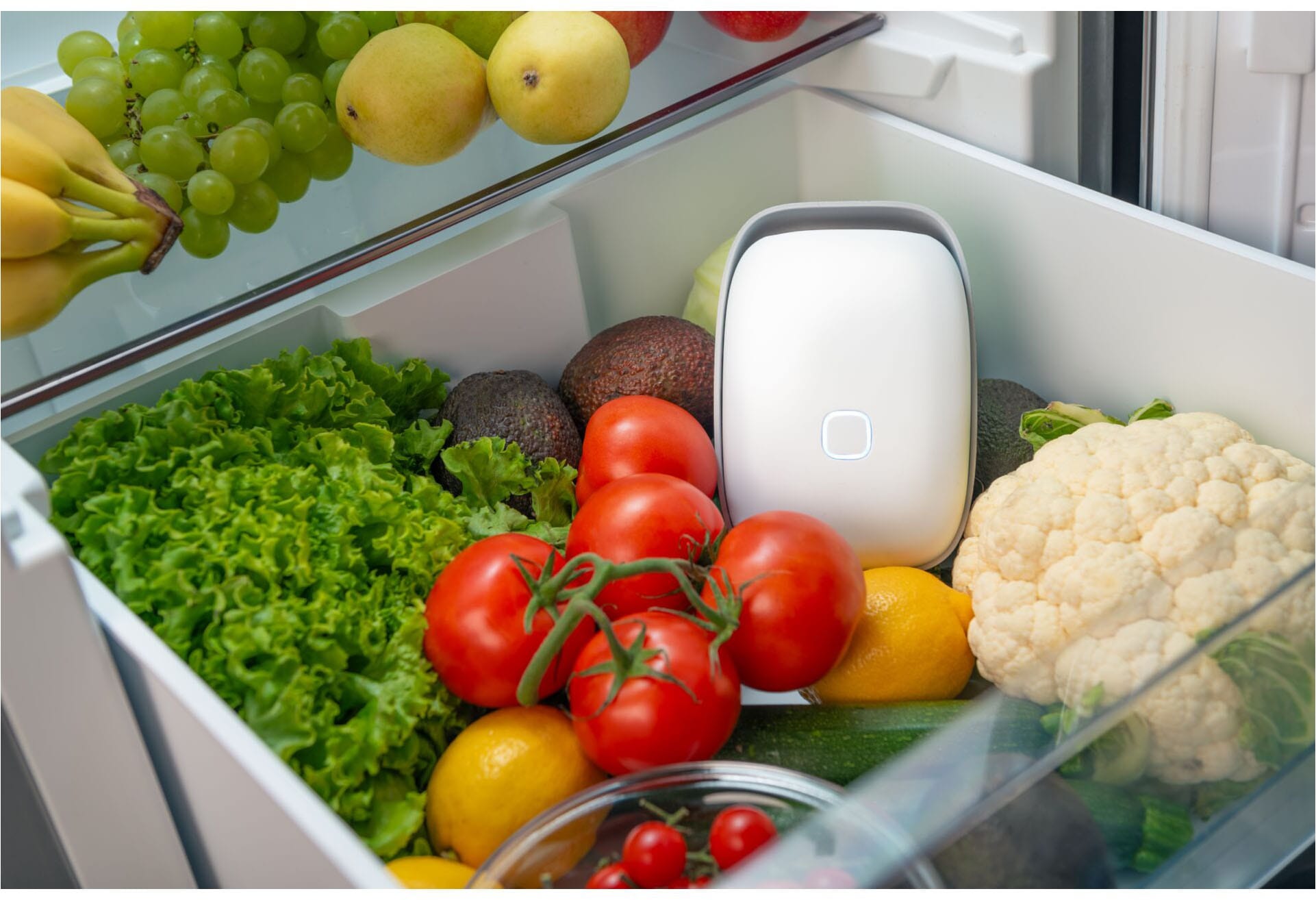 Vitesy Luftreiniger »Shelfy – Smarte Frischeverlängerung für deinen Kühlschrank«, reduzierte Bakterien, verlängert Haltbarkeit, gegen Schimmel