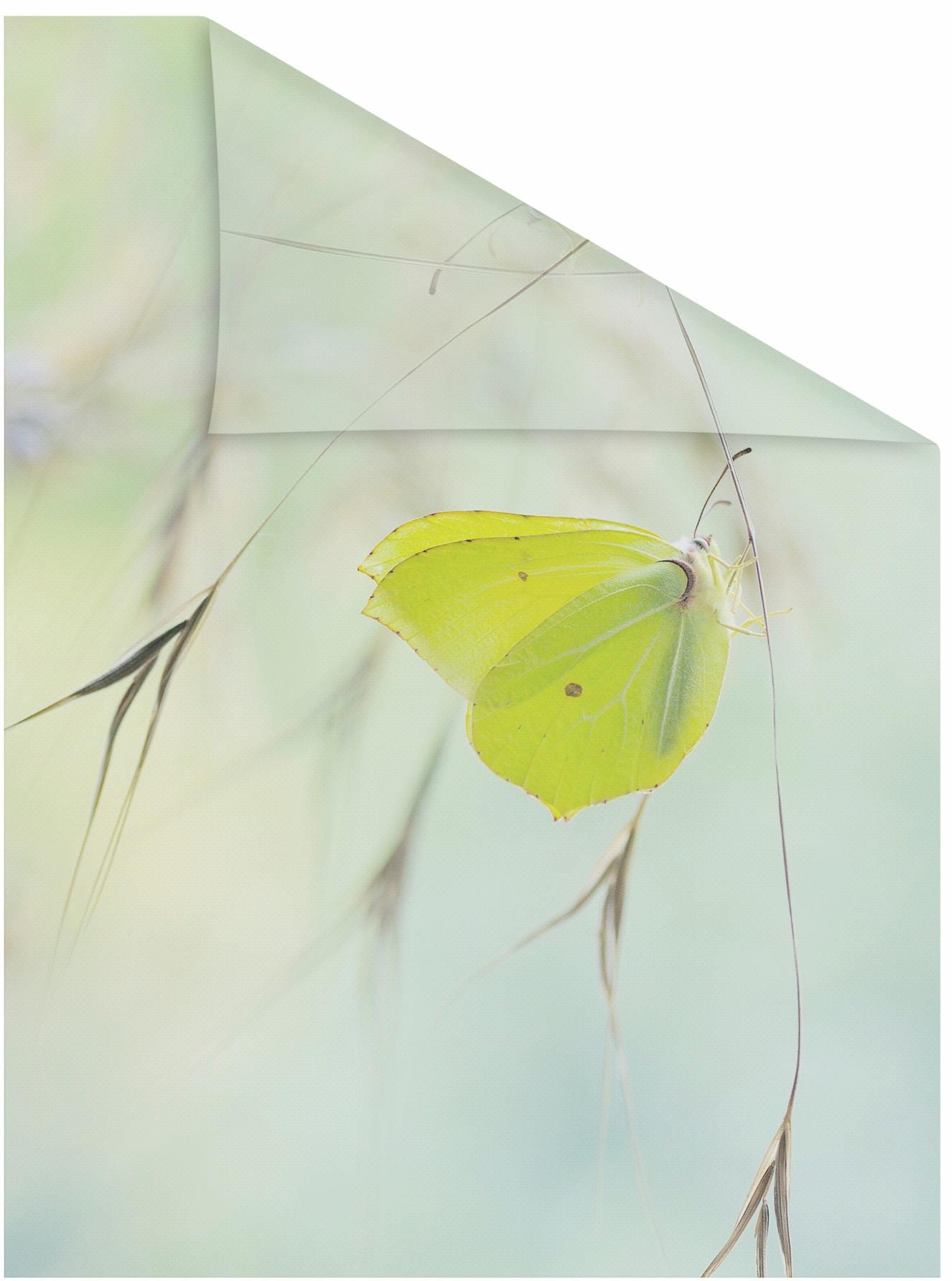 LICHTBLICK ORIGINAL Fensterfolie »Schmetterling Grün«, 1 St., blickdicht, s günstig online kaufen