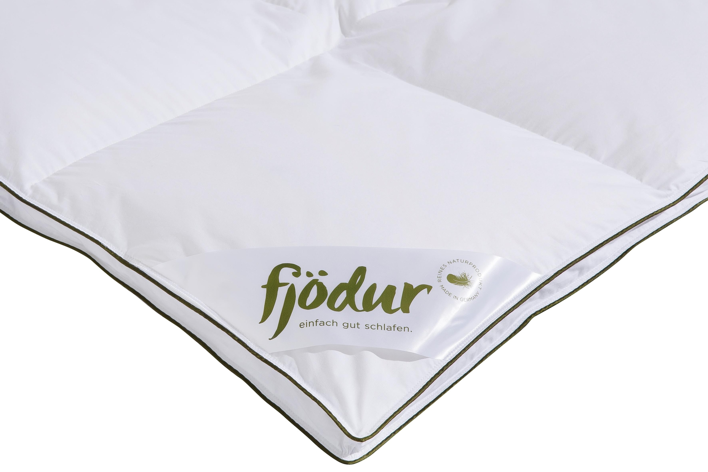 fjödur Daunenbettdecke »Felix«, warm, Füllung 90% Daunen, 10%Federn, Bezug 100% Baumwolle, (1 St.), Bettdecke in 135x200 cm und weiteren Größen, für Sommer oder Winter