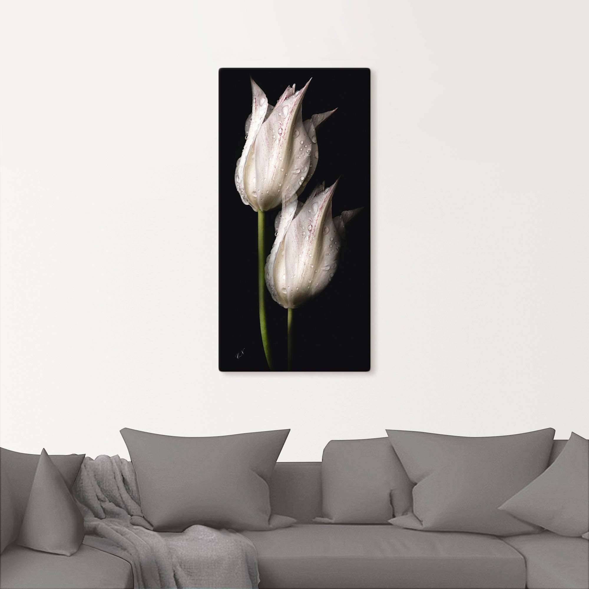 Artland Wandbild »Weiße Tulpen in der Nacht« Blumenbilder 1 Stk. tlg. als A günstig online kaufen
