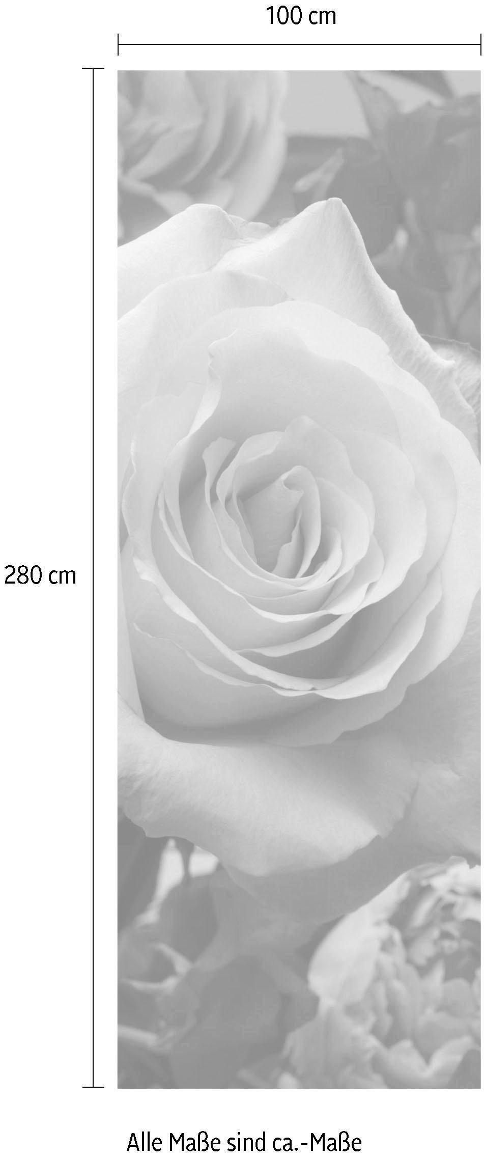 Komar Vliestapete »Digitaldruck Vlies -  Rosenduft - Größe 100 x 280 cm« bedruckt glatt Wohnzimmer, Schlafzimmer