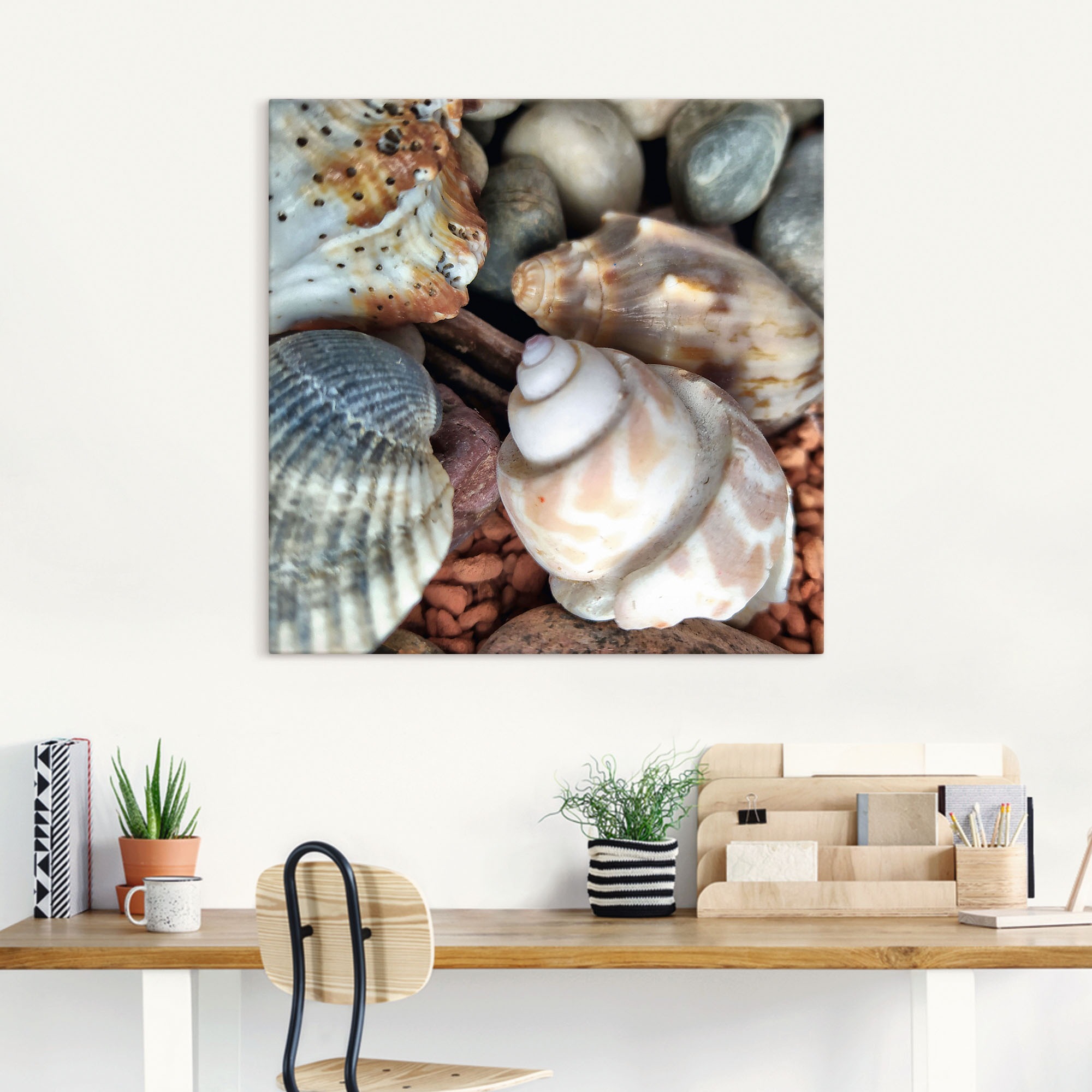 Artland Leinwandbild »Kleine Muschelschätze«, Meer, (1 St.), auf Keilrahmen gespannt