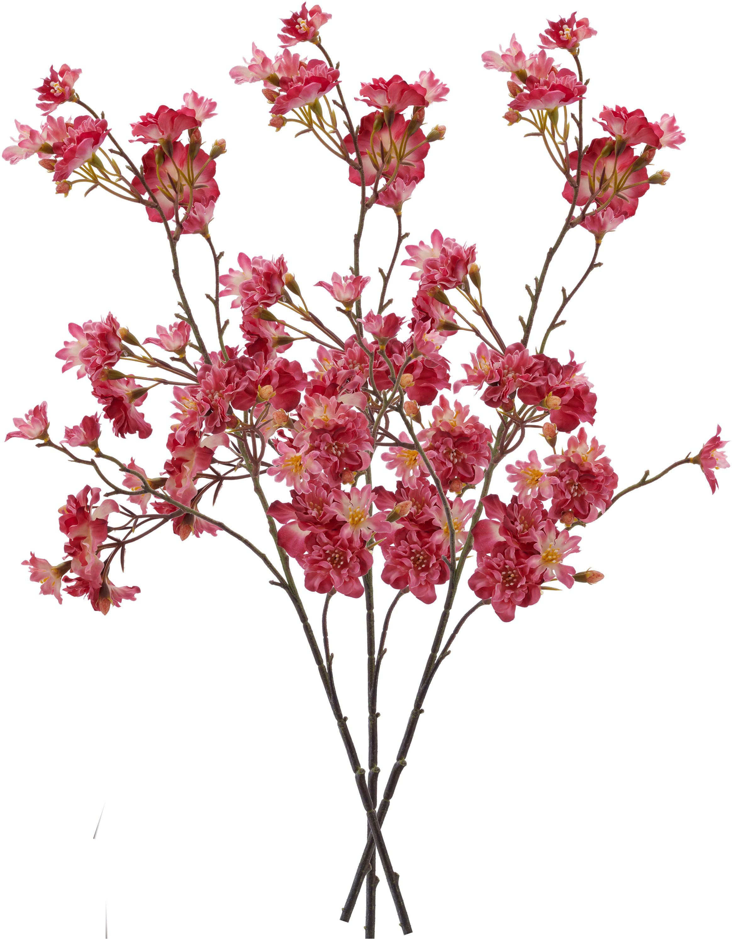 Creativ green Kunstzweig »Kirschblütenzweig« mit traumhaft schönen Blüten