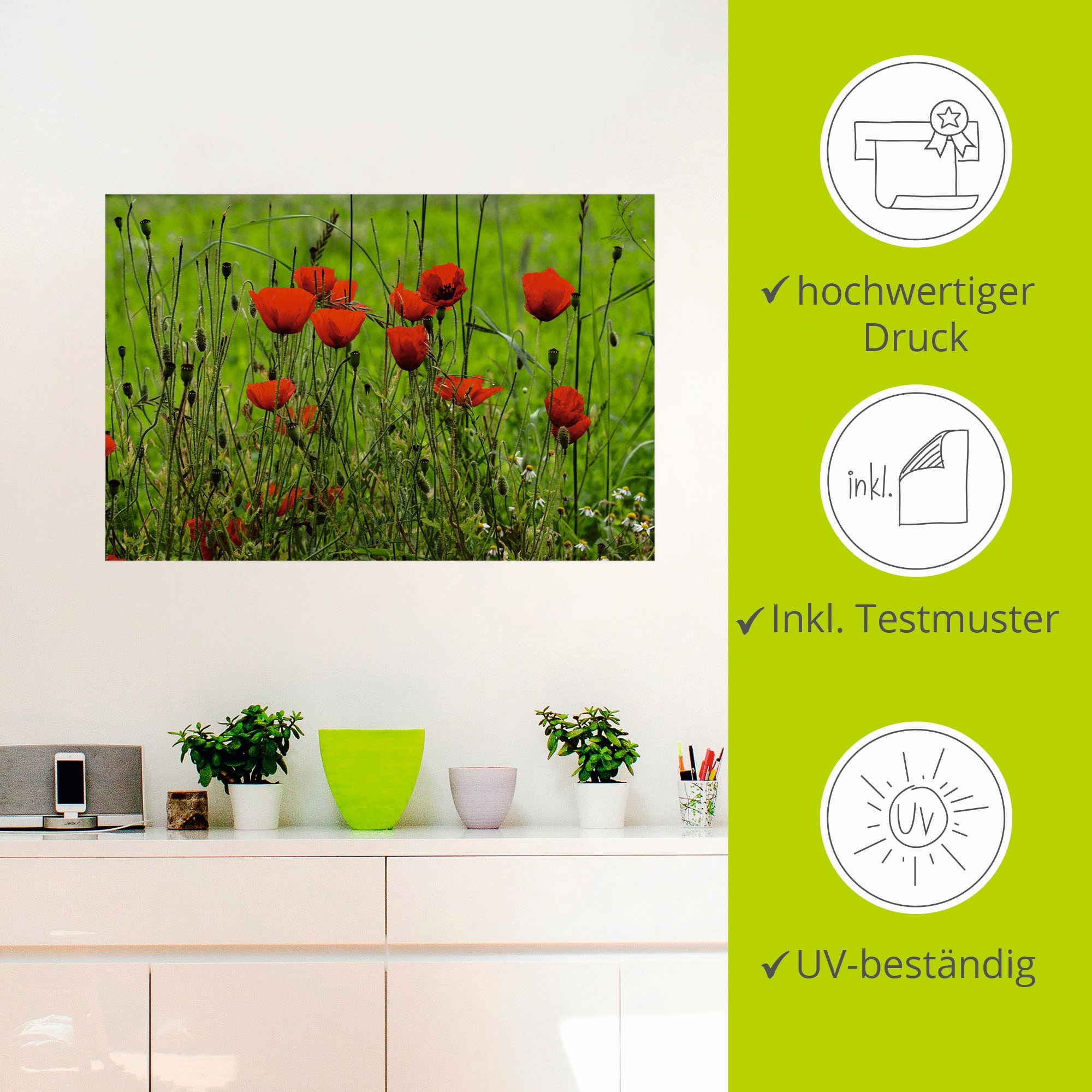 Artland Wandfolie »Mohnblumen am Wegesrand«, Blumen, (1 St.), selbstklebend