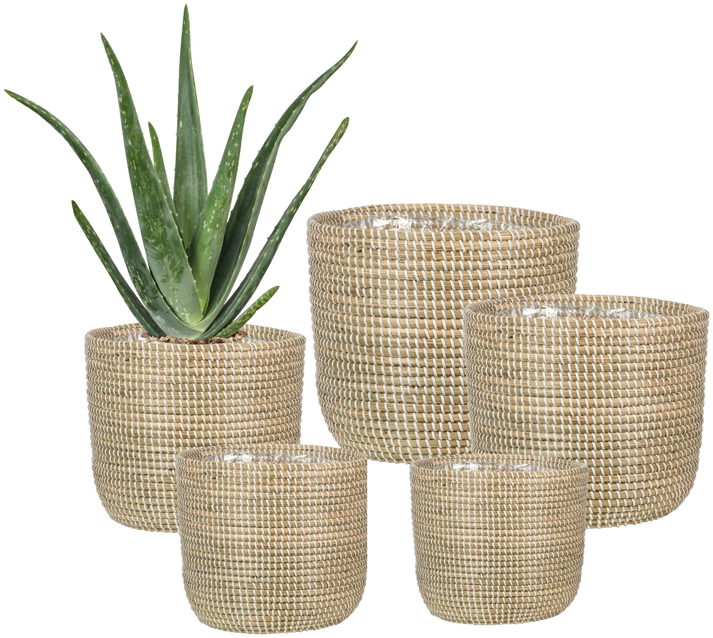Scheurich Blumentopf »white 22/513«