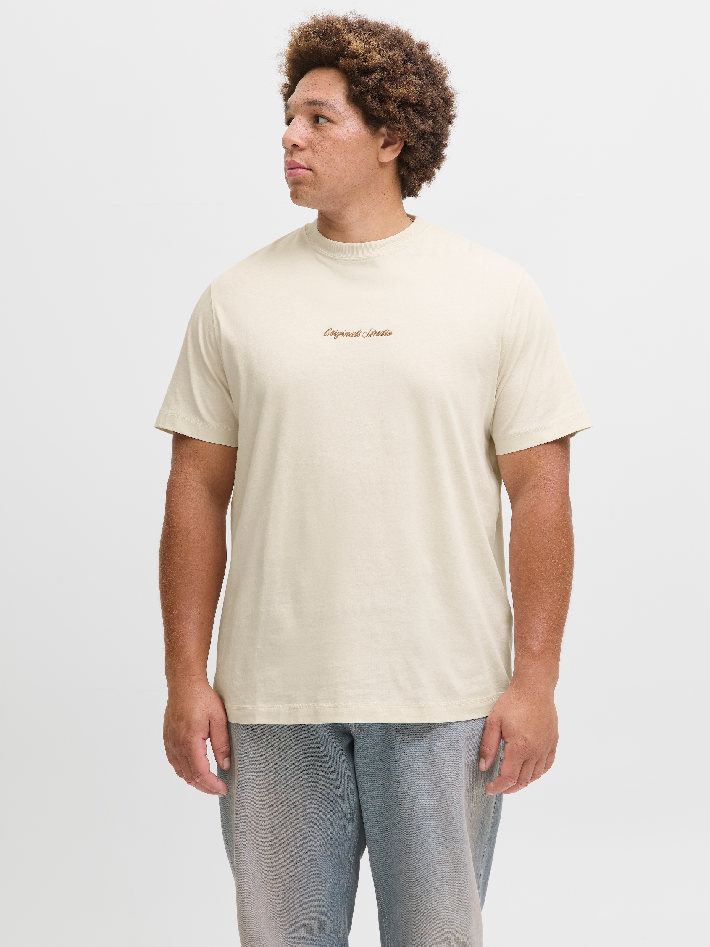 Jack & Jones PlusSize T-Shirt »JORNORREBRO EMB TEE SS CREW NECK PLS«