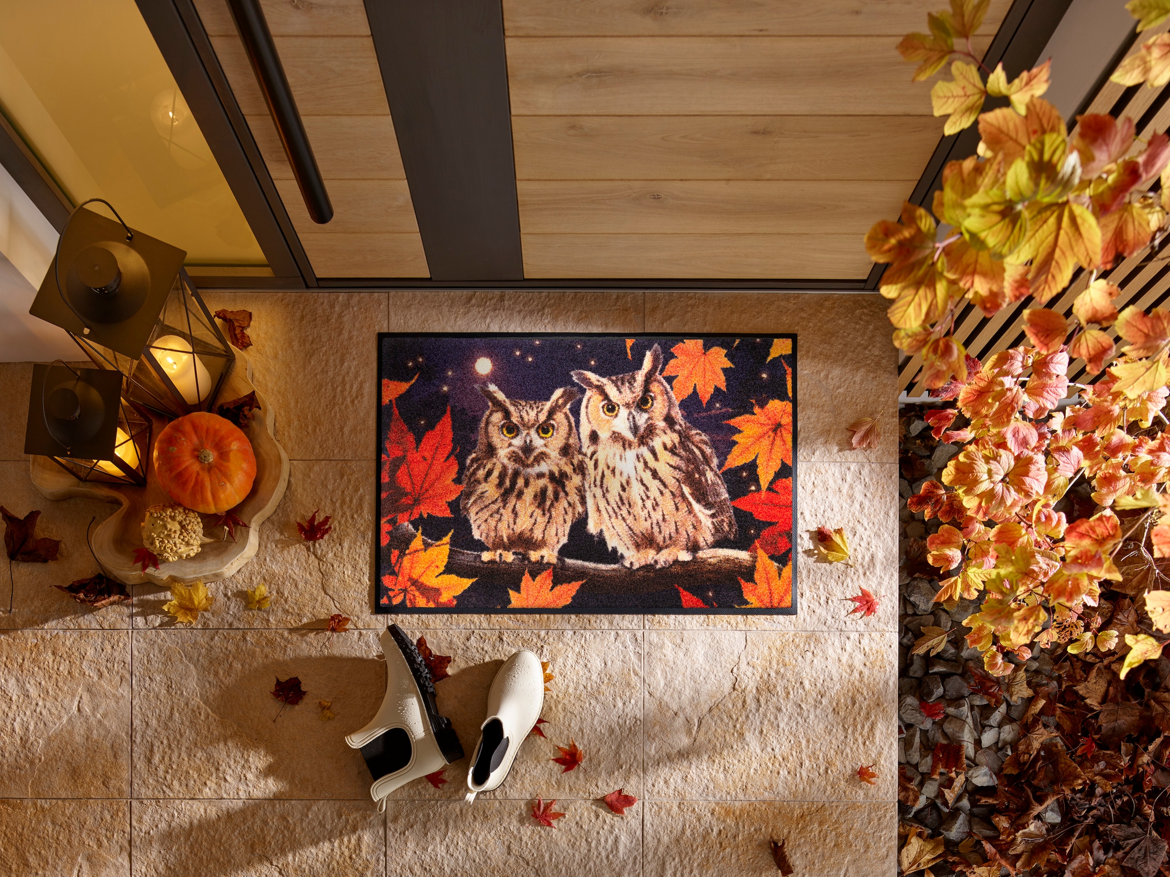 wash+dry by Kleen-Tex Fußmatte »Night Owls« rechteckig 7 mm Höhe