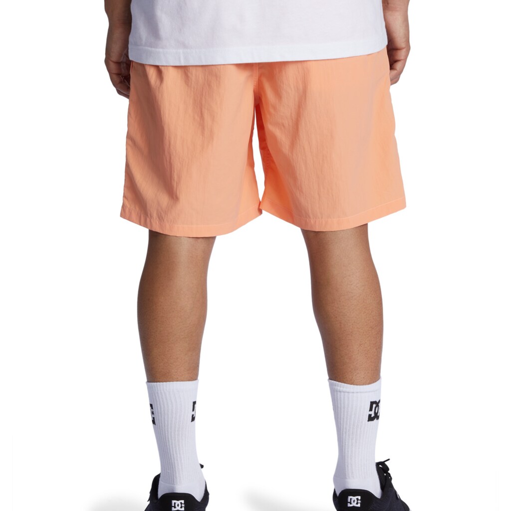 DC Shoes Shorts »Wayford«