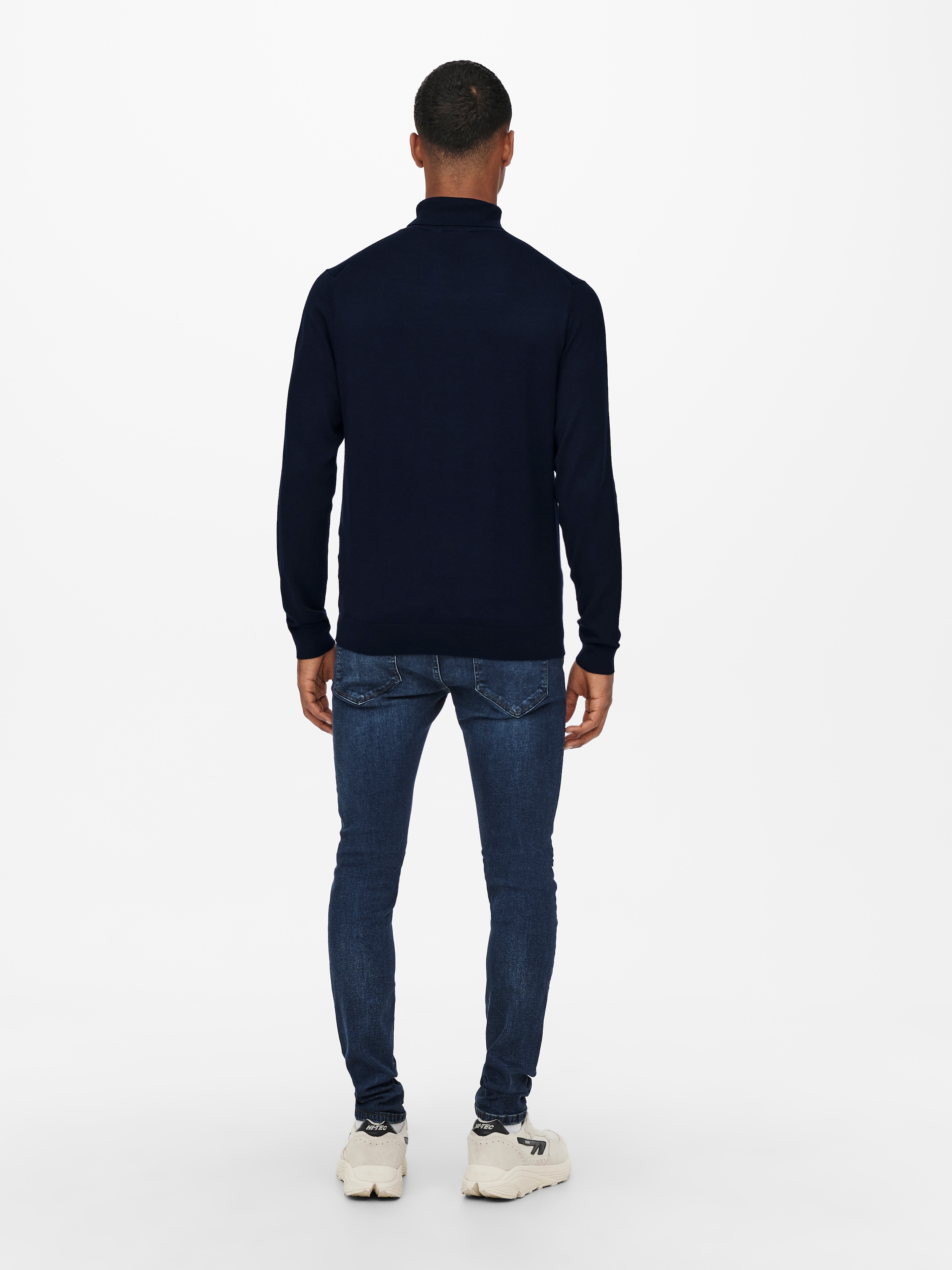 ONLY & SONS Rollkragenpullover »ONSWYLER LIFE REG ROLL NECK KNIT NOOS«