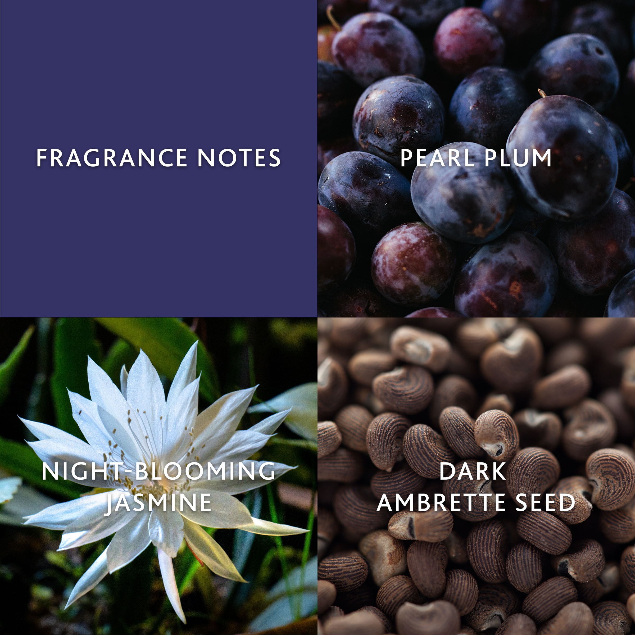 Christina Aguilera Eau de Parfum »MOONLIGHT BLOOM EDP« blumig-orientalische Duftnote