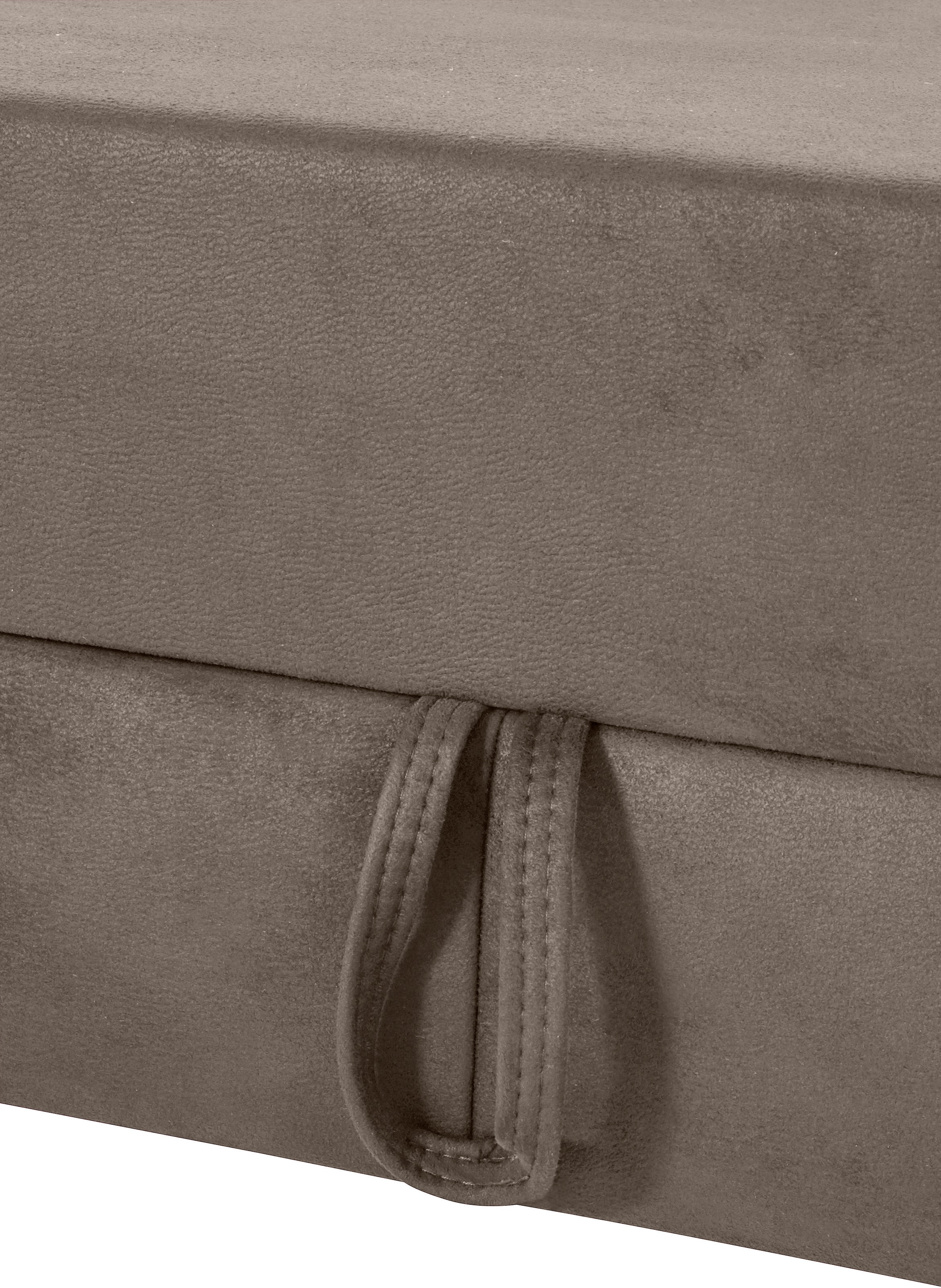 sit&more Ecksofa »Darwin L-Form«, inklusive Federkern, wahlweise mit Kopfteilverstellung, Bettfunktion