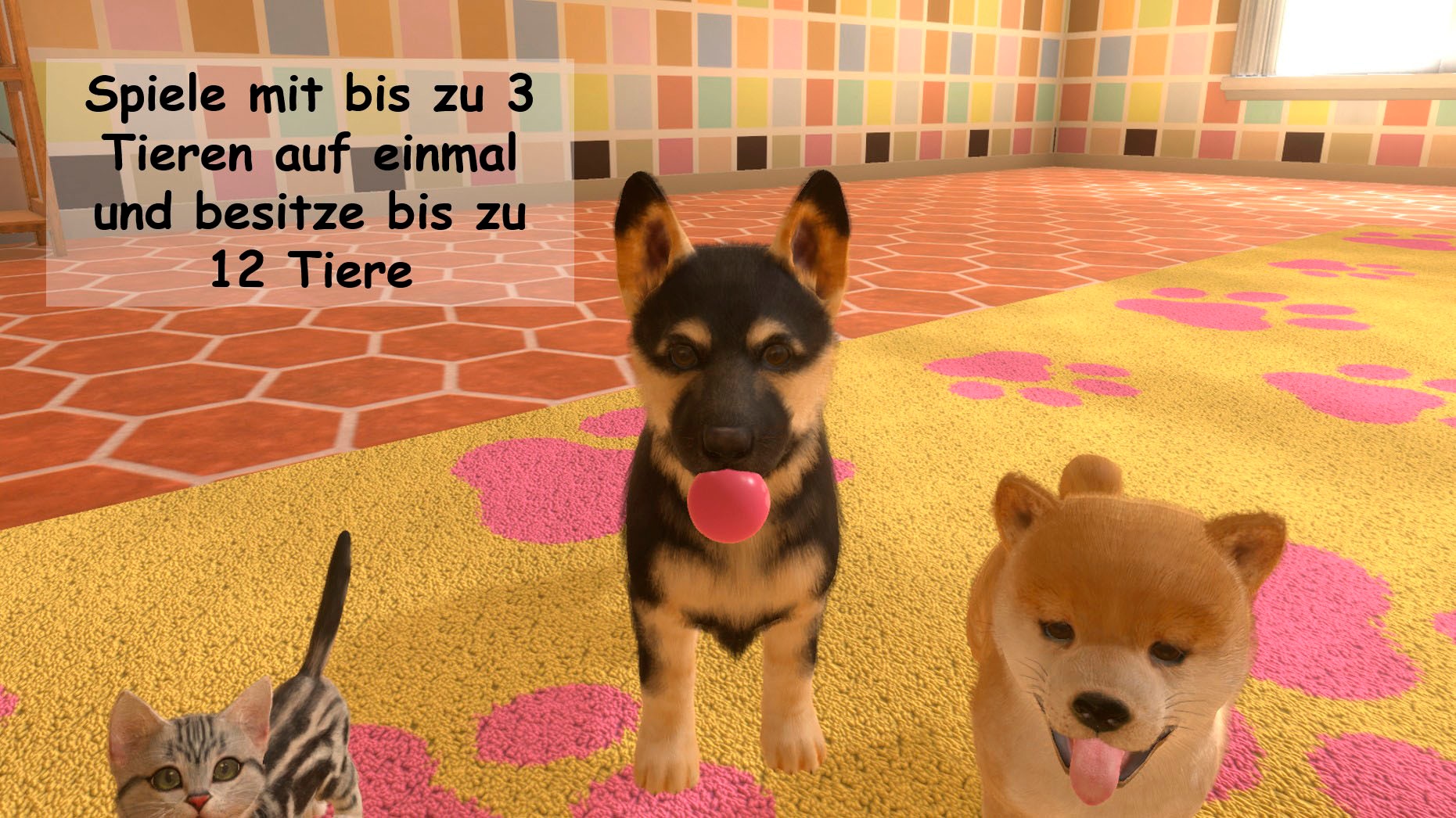 Sold Out Spielesoftware »Little Friends: Dogs & Cats - Code in a box - [Nintendo Switch]« Nintendo Switch