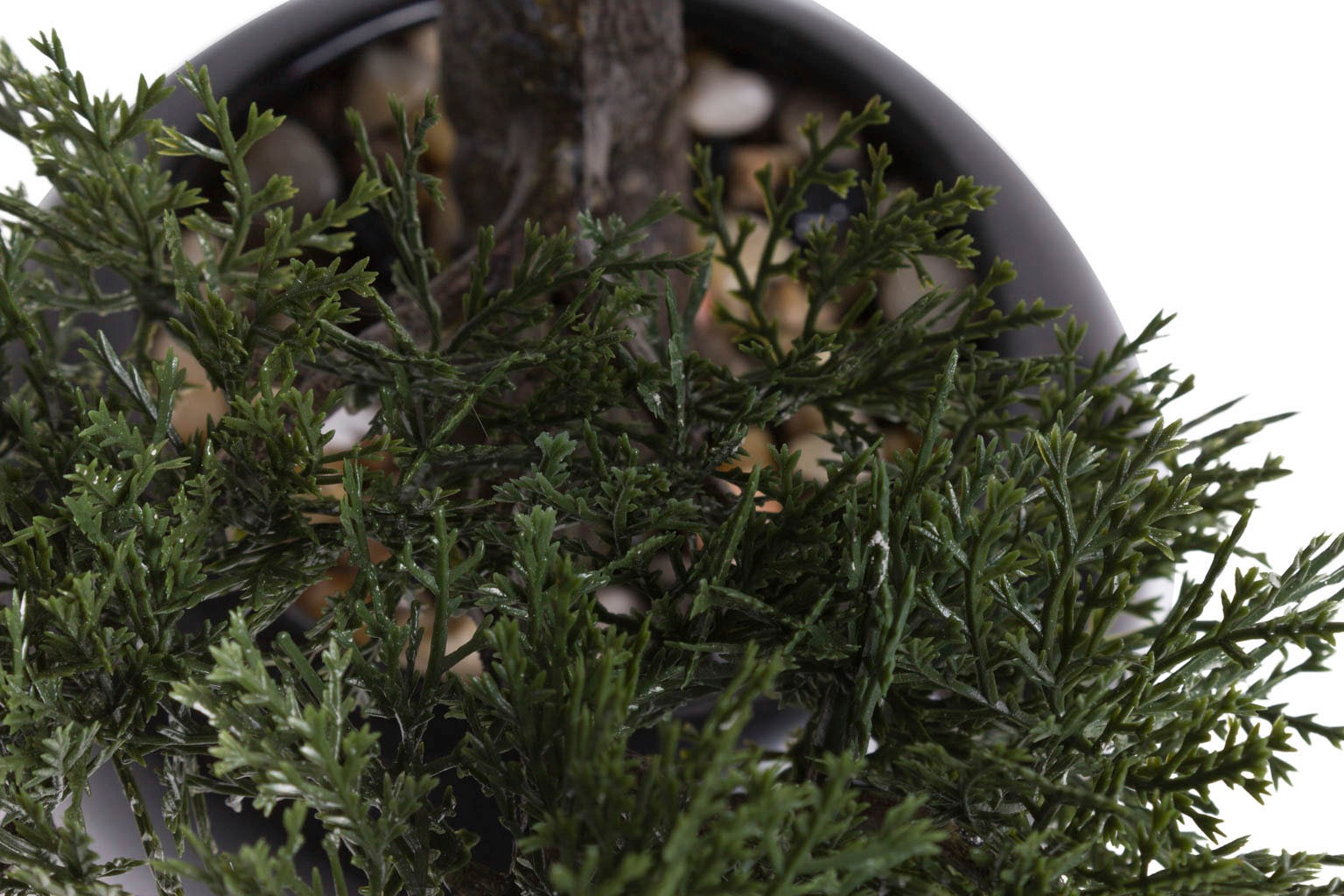 Botanic-Haus Kunstbonsai »Ceder Bonsai« günstig online kaufen