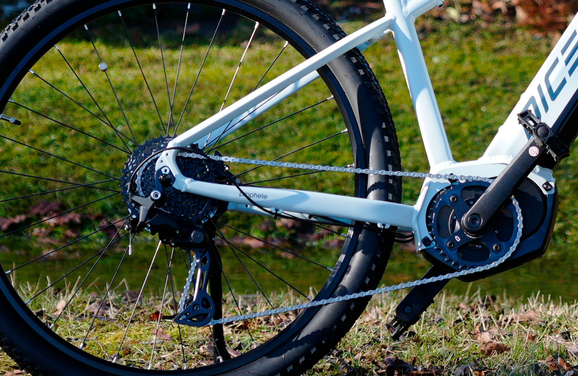 Prophete »Dice 3.8« 10 Gang Shimano Cues Schaltwerk Kettenschaltung Mittelmotor 250 W