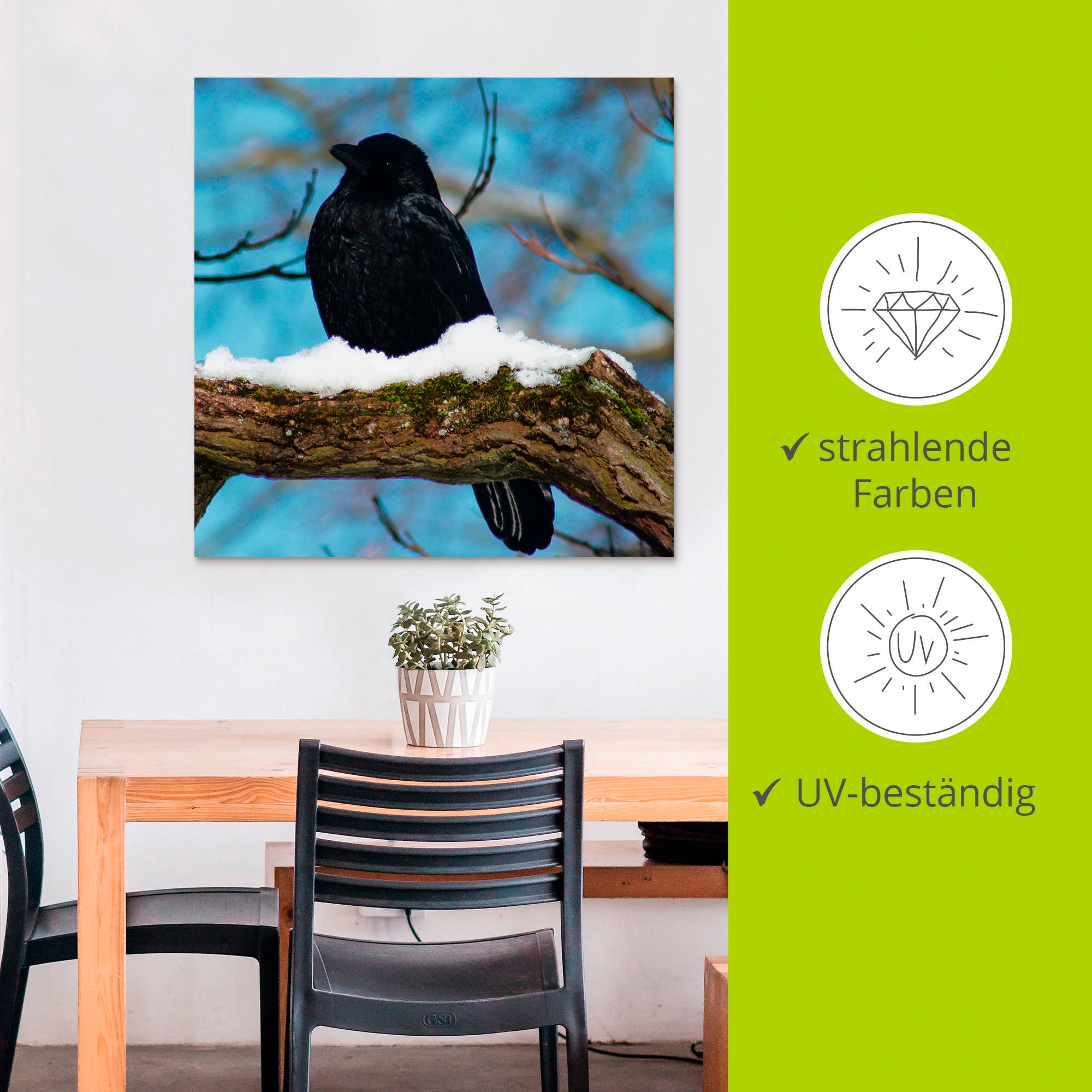 Artland Alu-Dibond-Druck »Rabe im Winter«, Vögel, (1 St.), für Innen- und Außenbereich geeignet, Outdoorbild