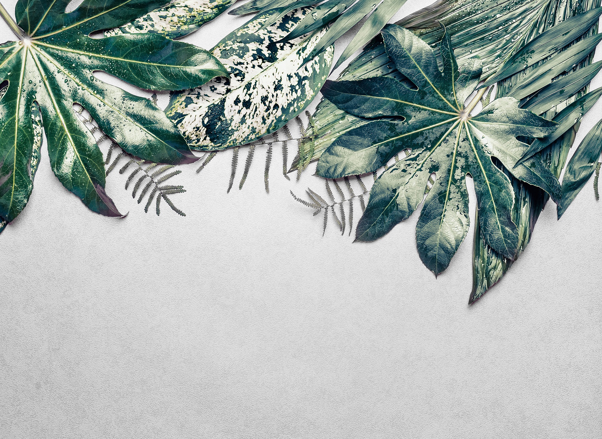 living walls Fototapete »Designwalls Leaves Variety 2« glatt Vlies, Wand, S günstig online kaufen