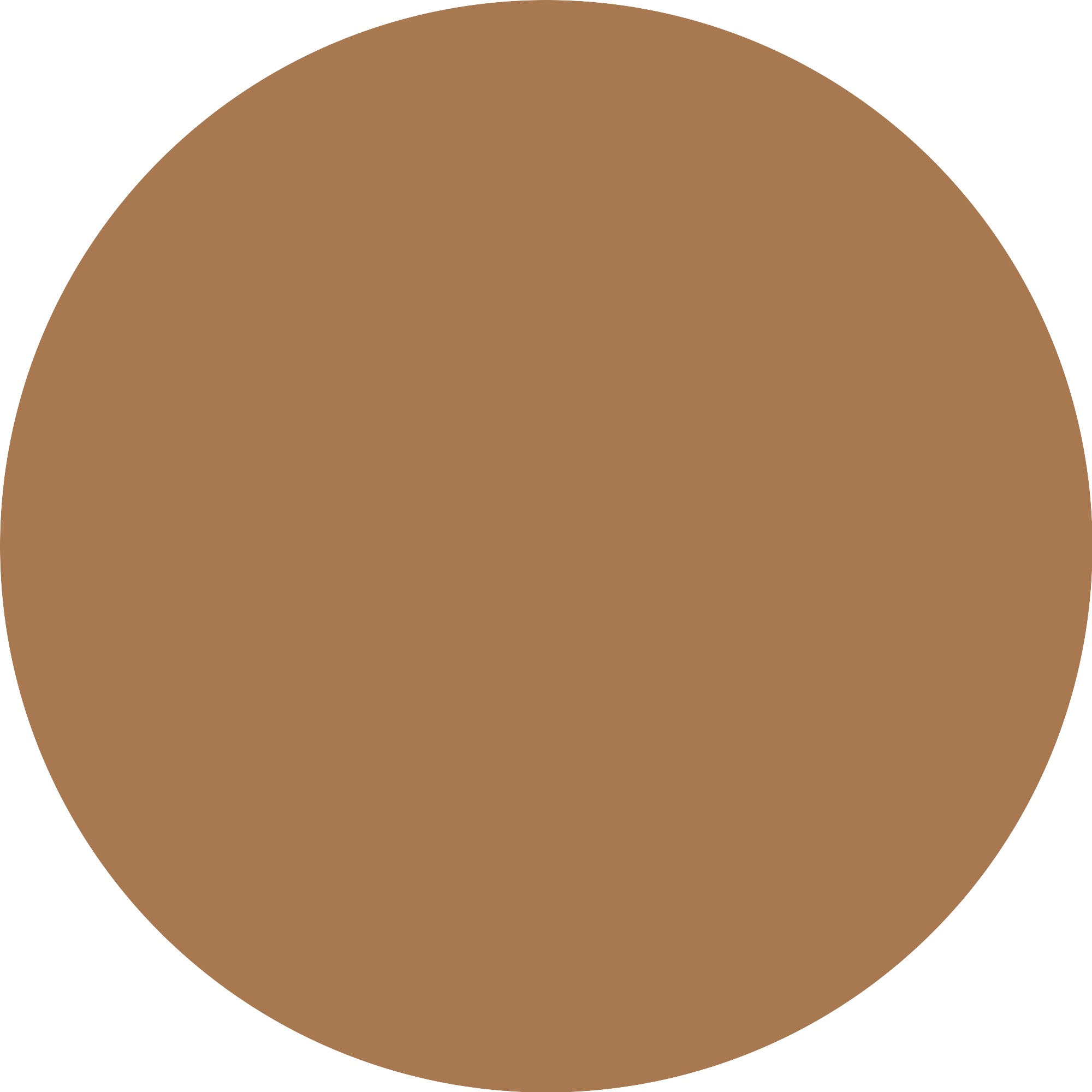 Catrice Foundation »Skin Like Tinted Moisturizer« für einen frischen, natürlichen Teint