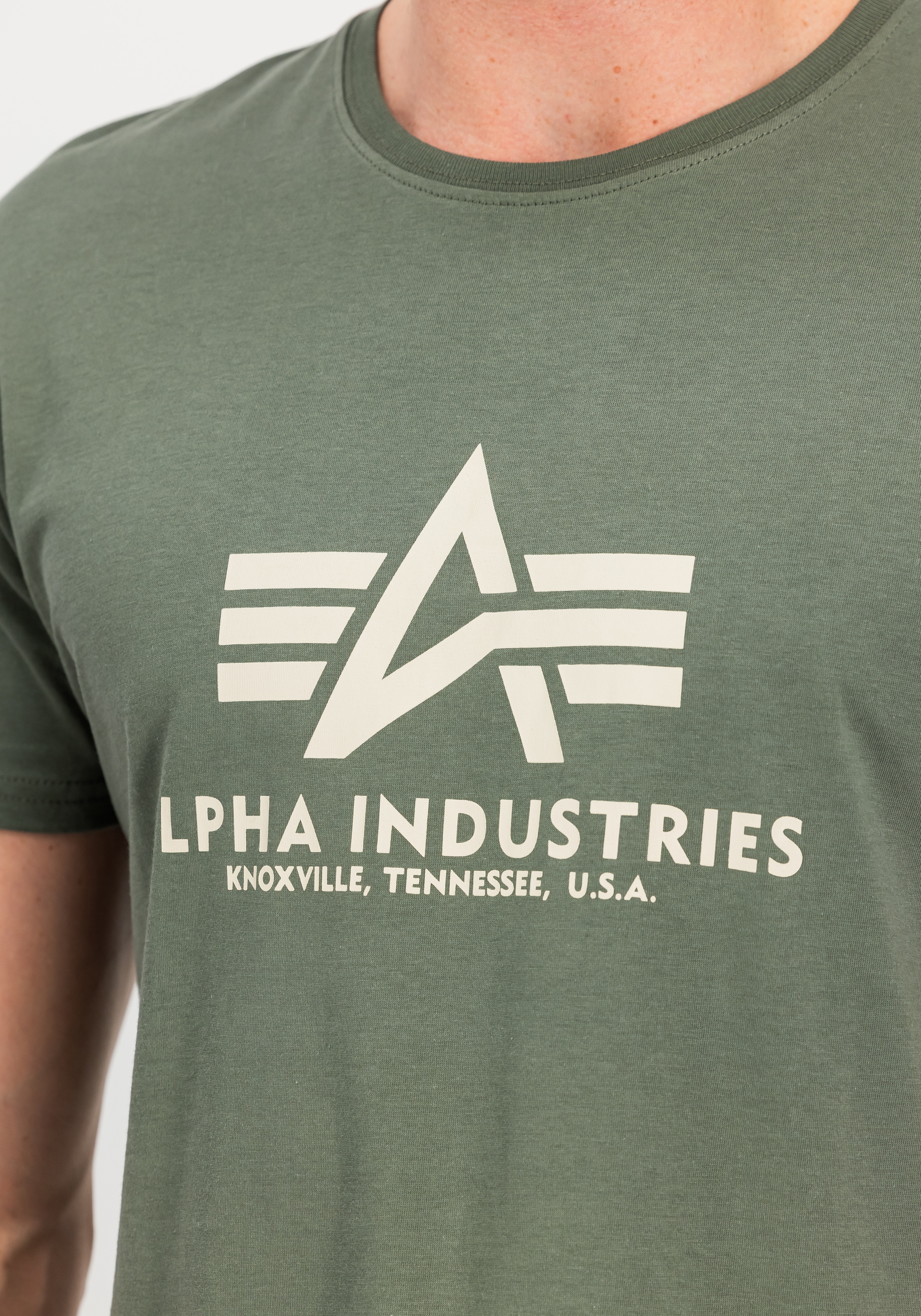 Alpha Industries T-Shirt »Basic T-Shirt BL«